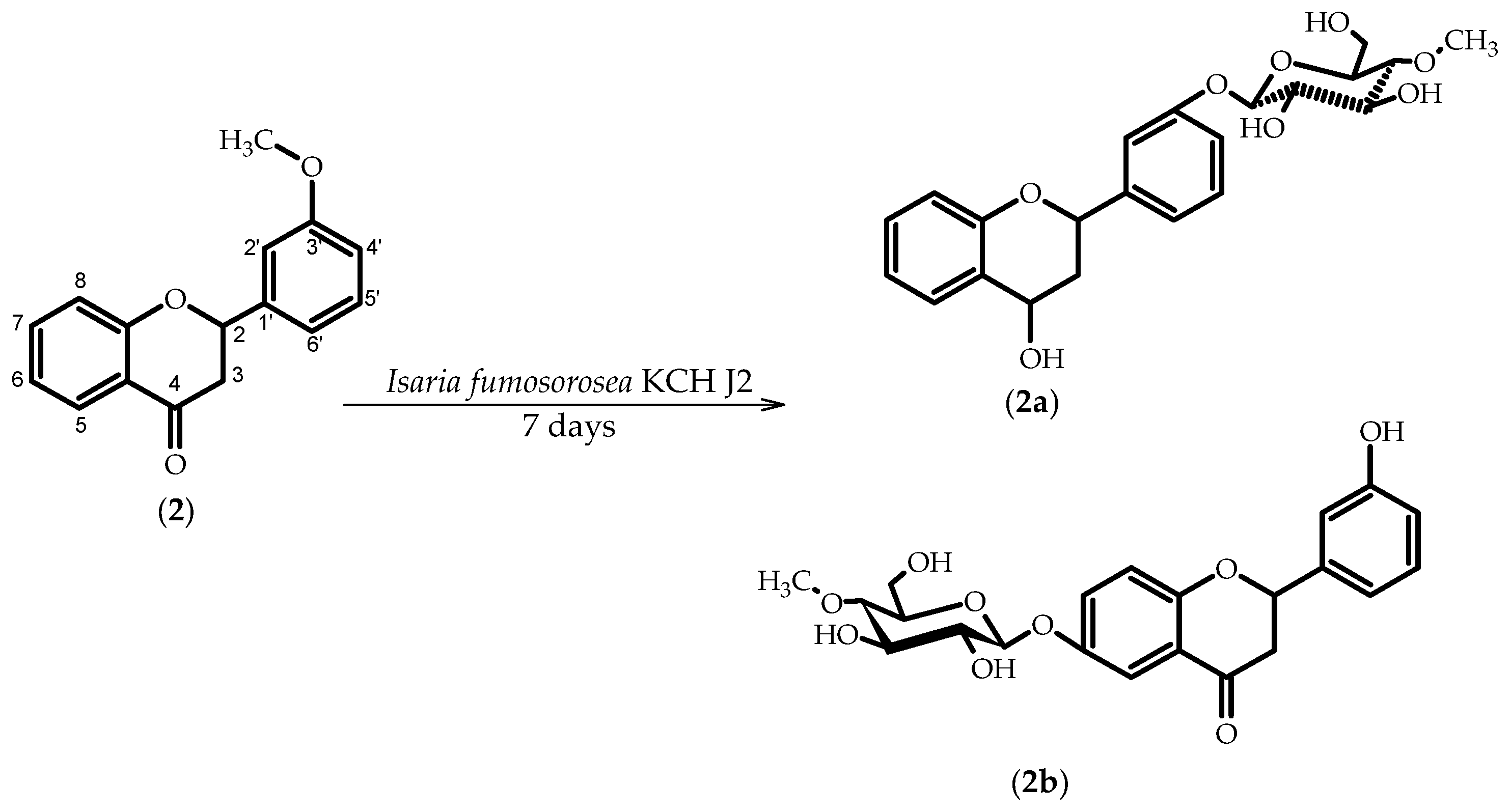 Molecules 23 02578 sch002