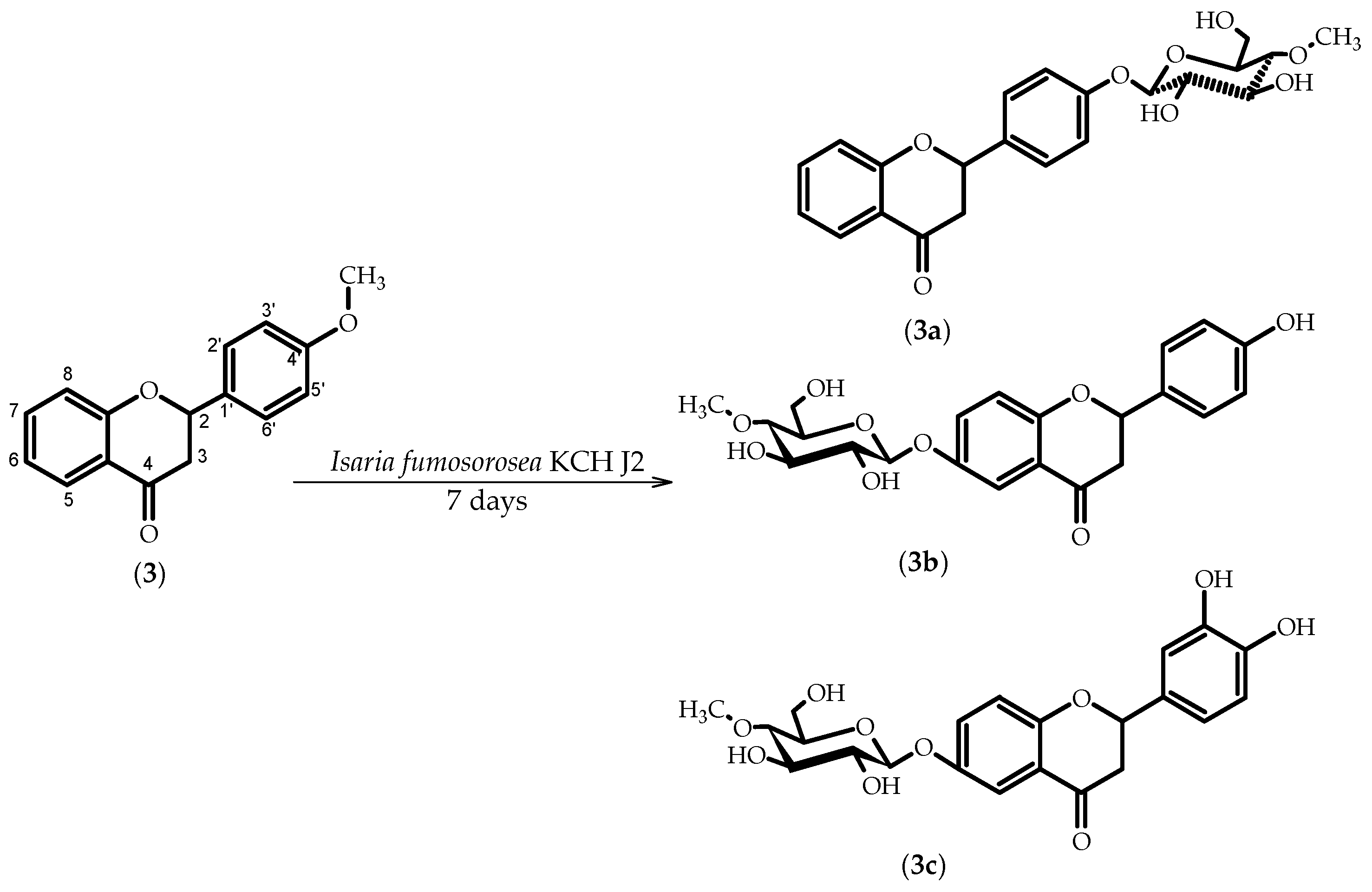 Molecules 23 02578 sch003