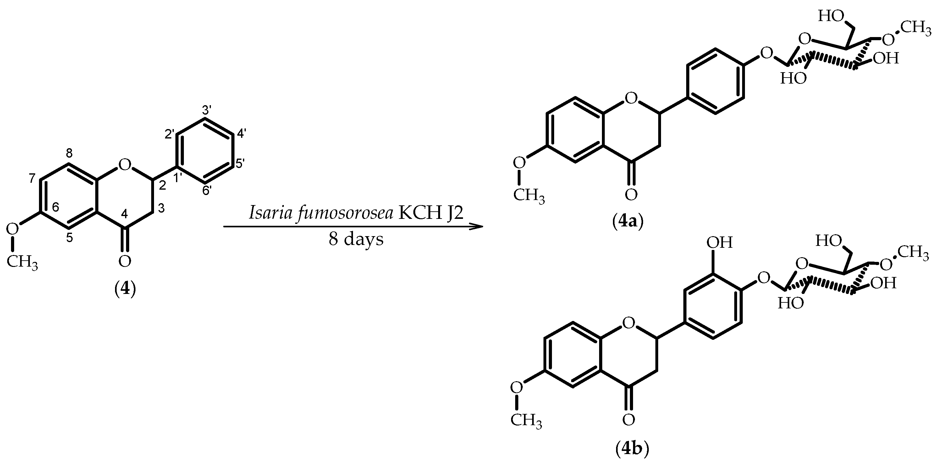 Molecules 23 02578 sch004