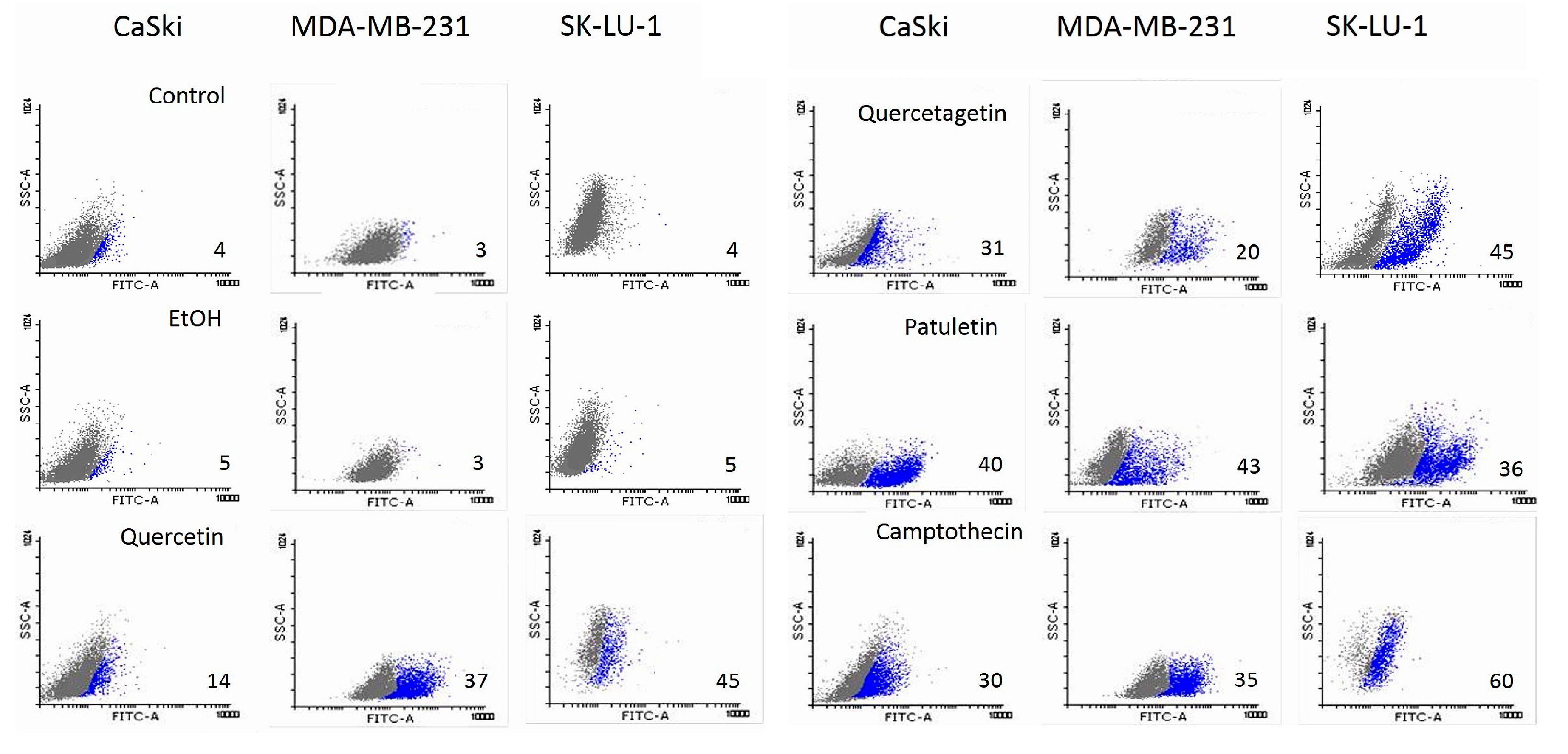 Molecules 23 02579 g010