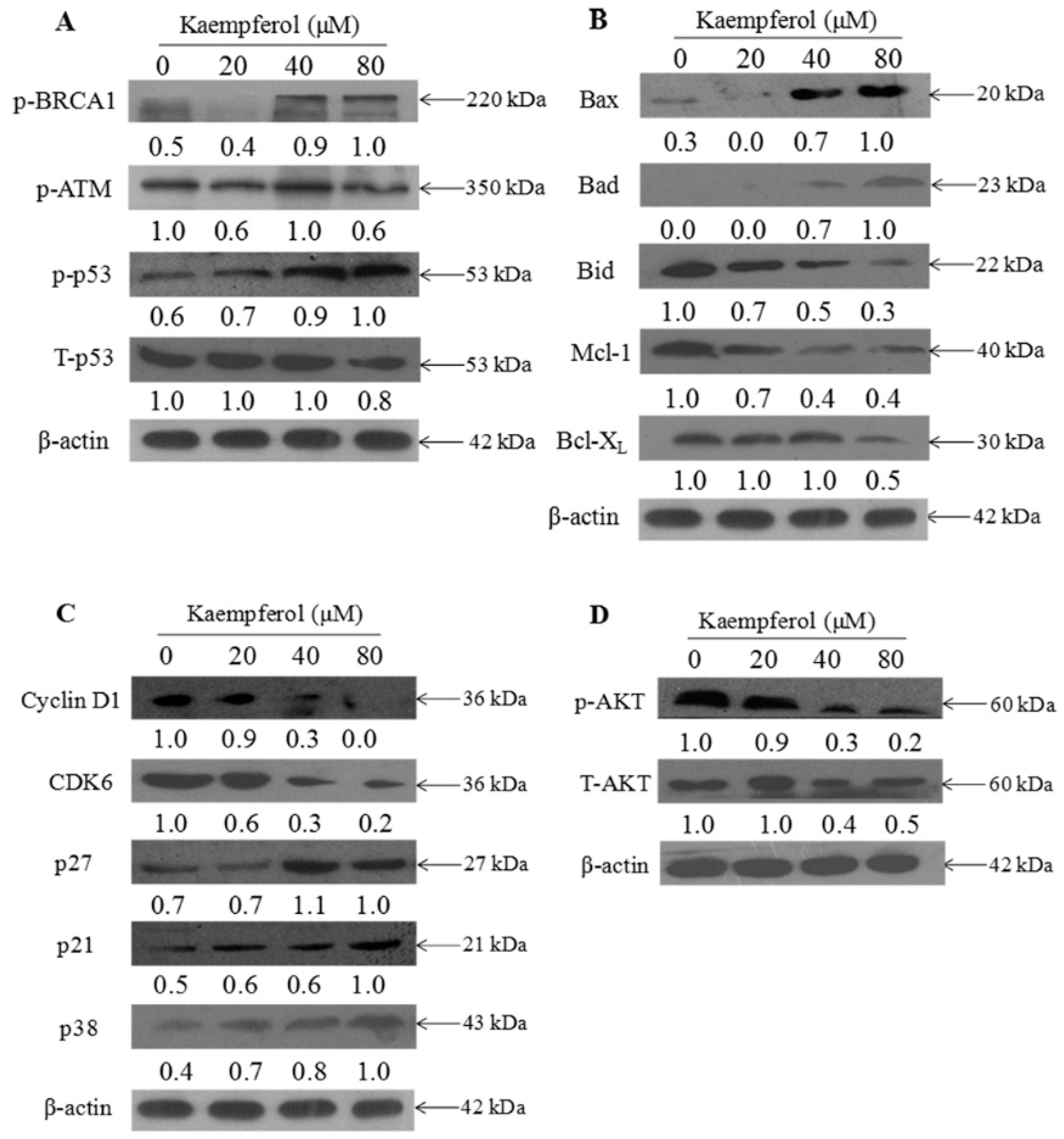 Molecules 23 02592 g005