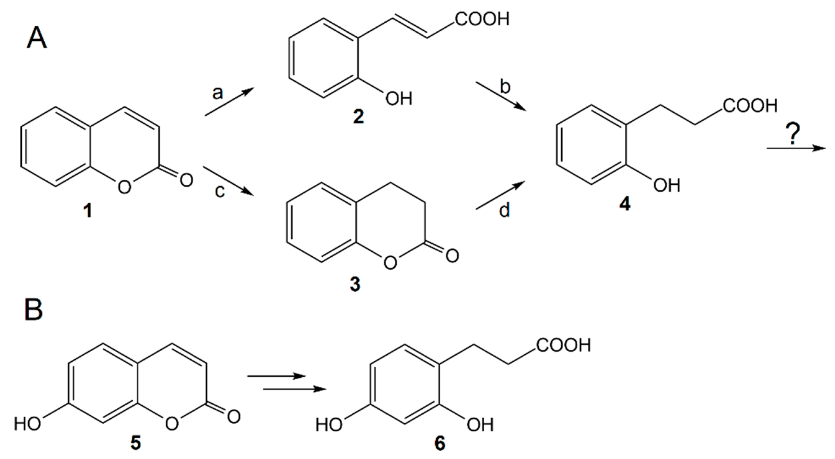 Molecules 23 02613 g001 Molecules 23 02613 g001