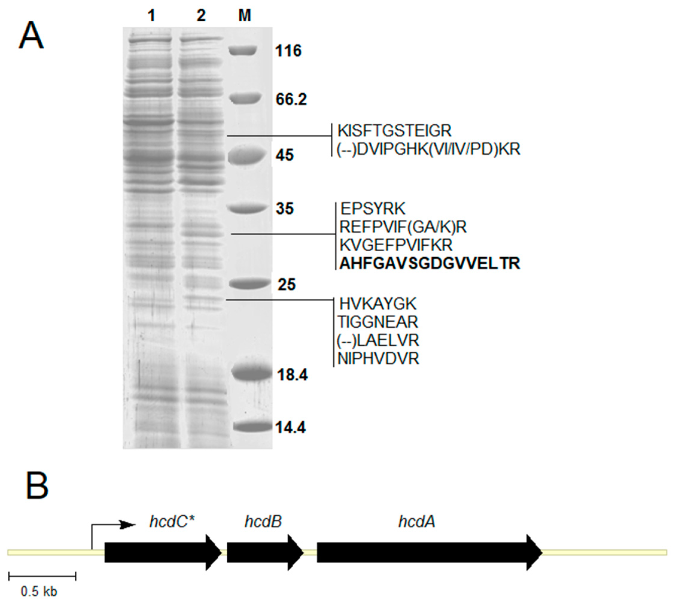 Molecules 23 02613 g003 Molecules 23 02613 g003
