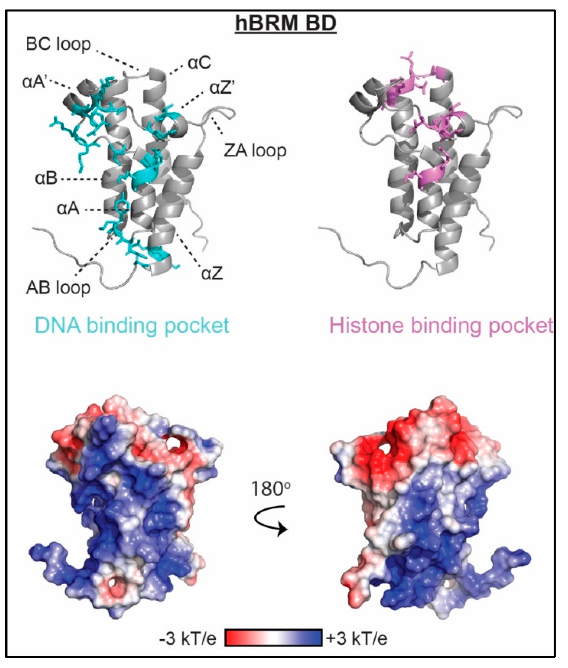 Molecules 23 02614 g002 Molecules 23 02614 g002
