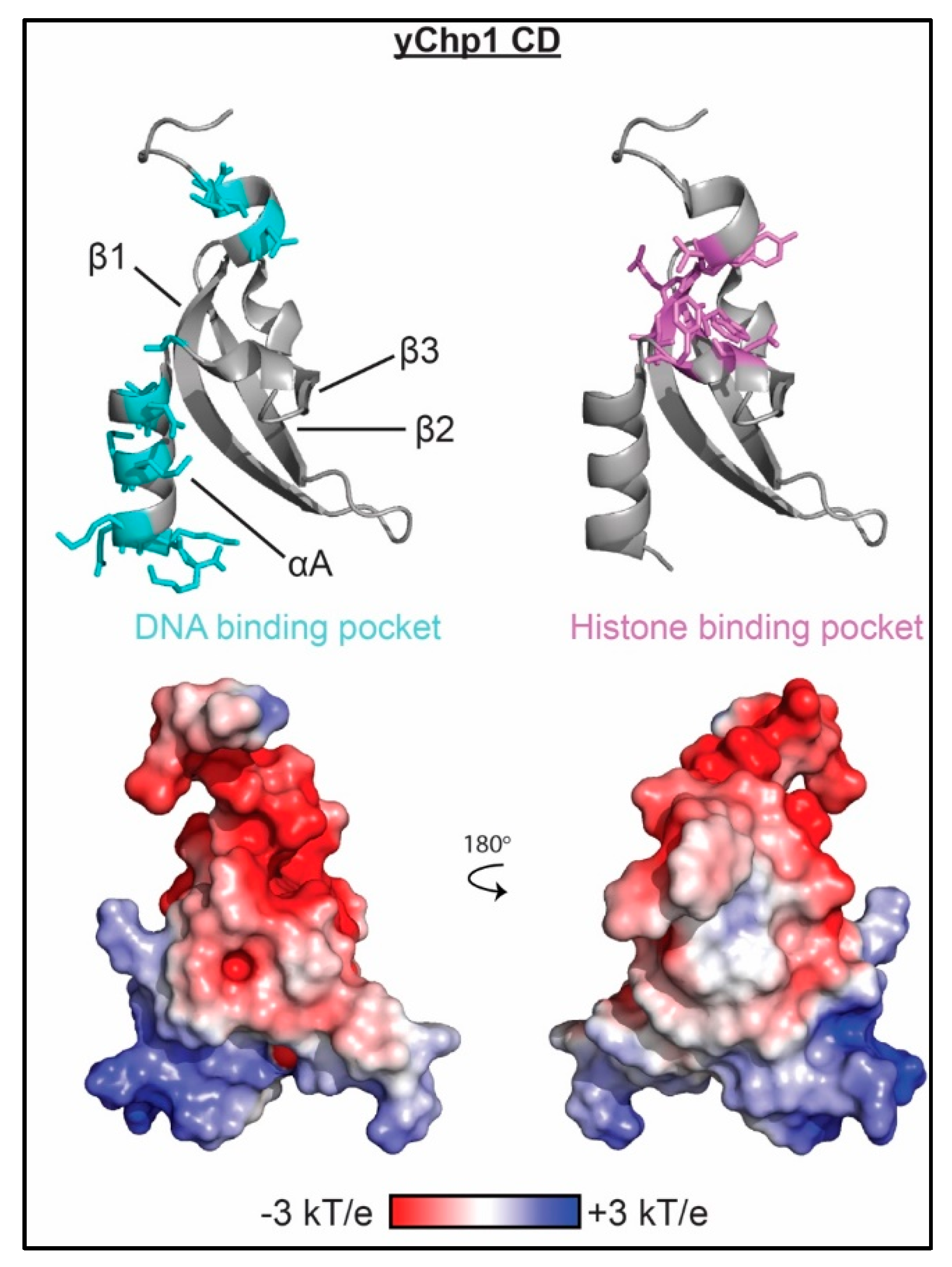 Molecules 23 02614 g005 Molecules 23 02614 g005