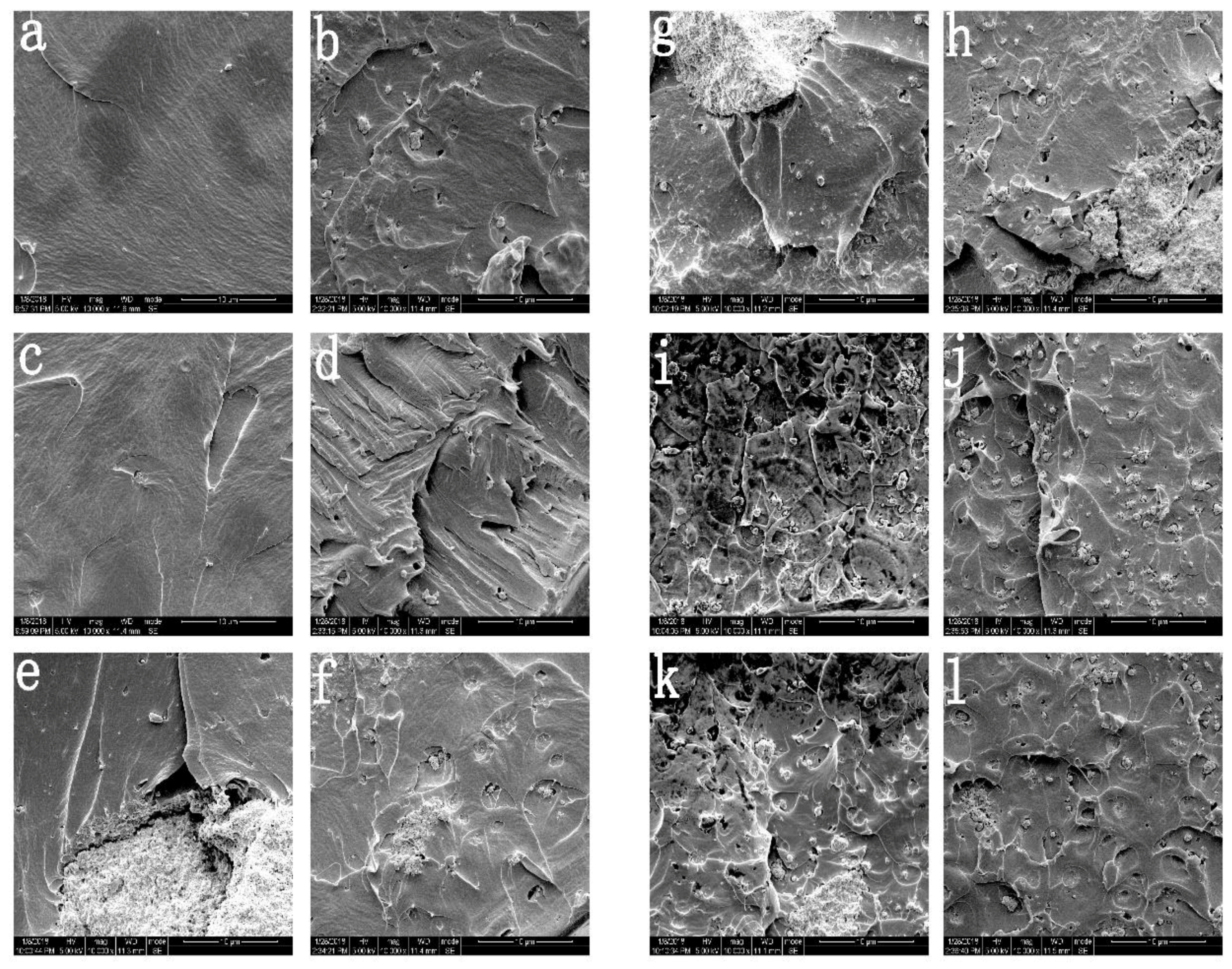 Molecules 23 02621 g002