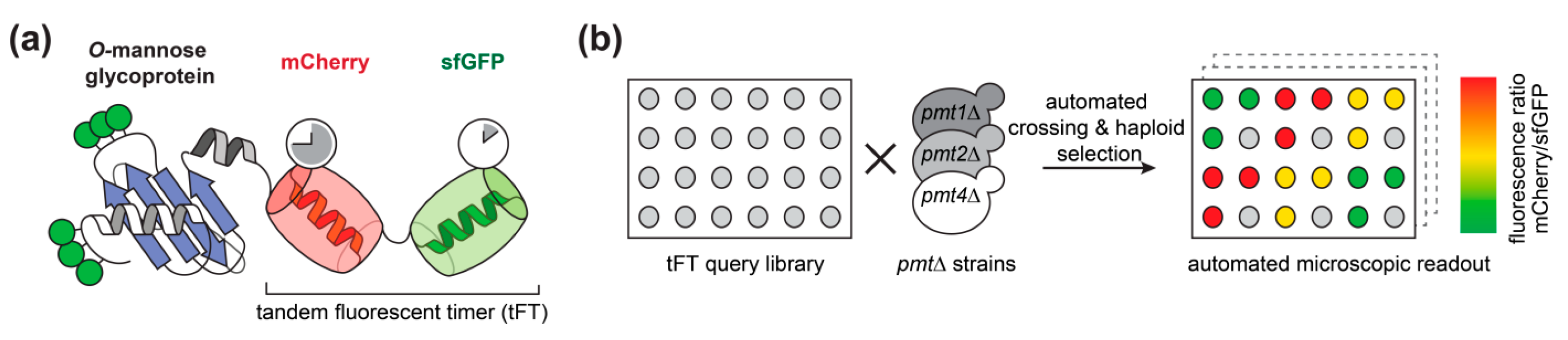 Molecules 23 02622 g001