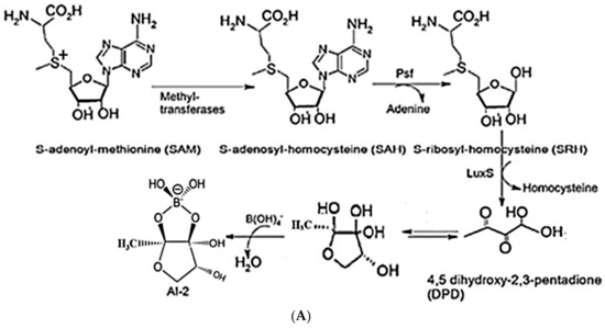 Molecules 23 02627 g001a Molecules 23 02627 g001a