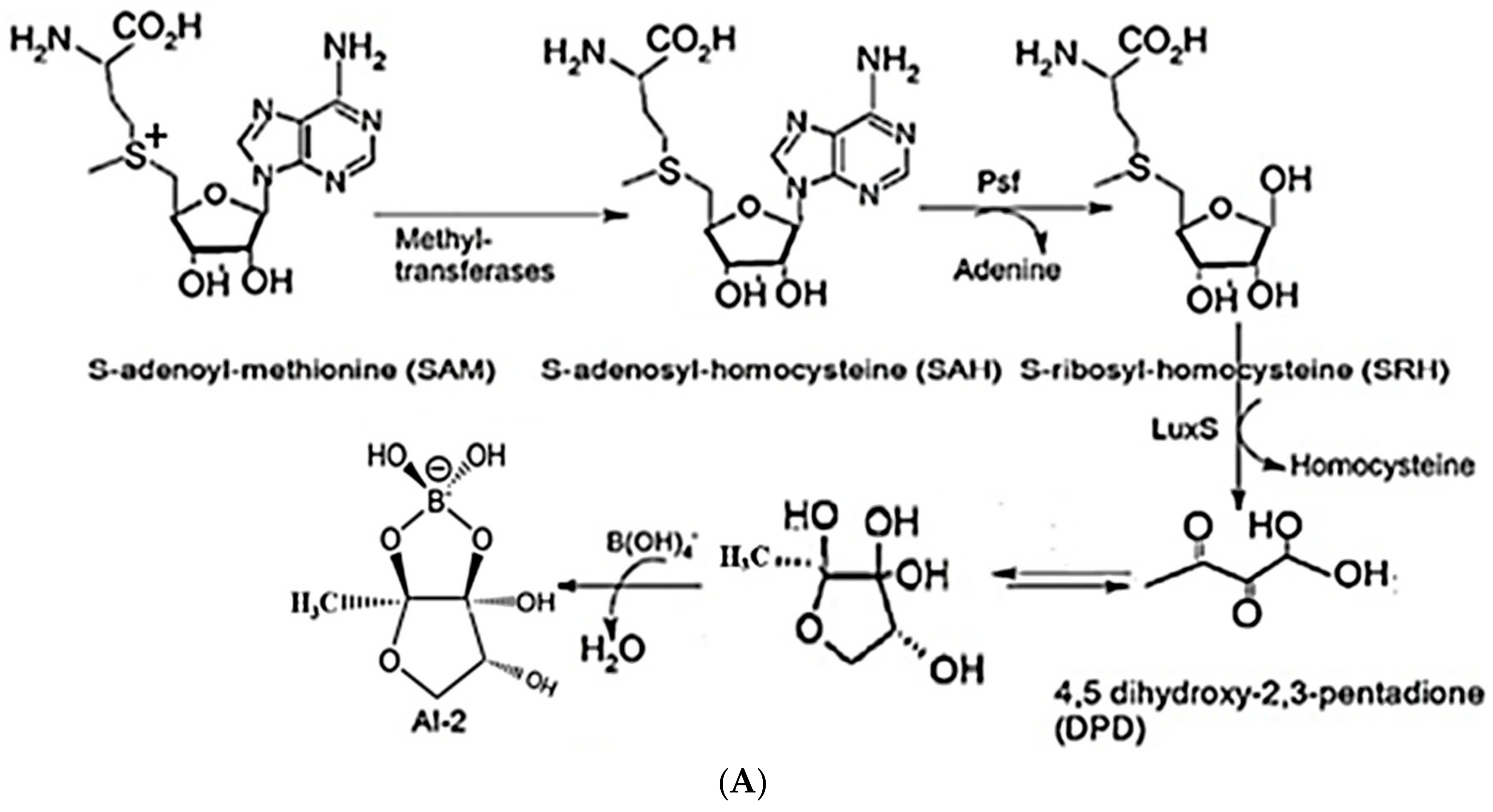 Molecules 23 02627 g001a Molecules 23 02627 g001a