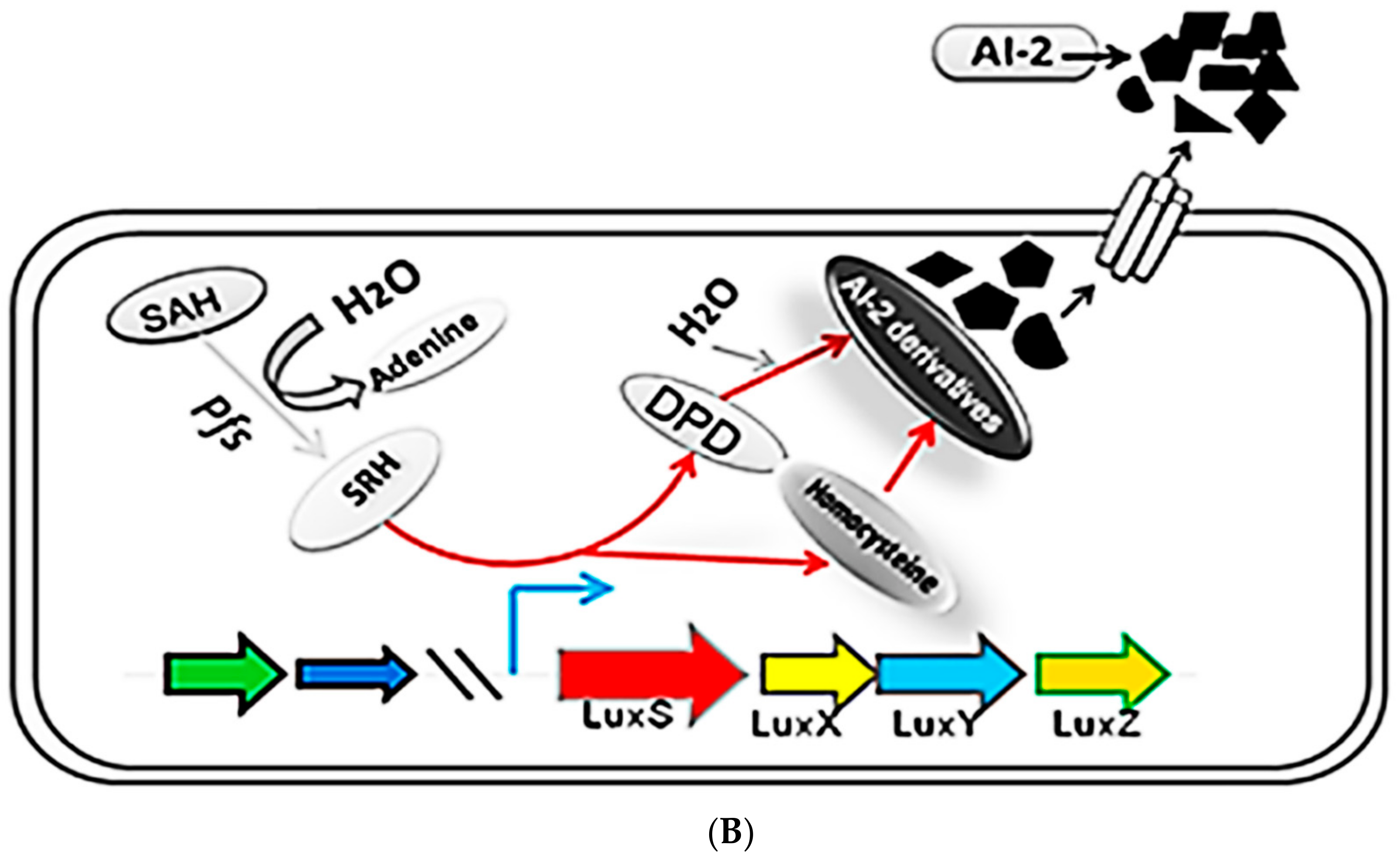 Molecules 23 02627 g001b Molecules 23 02627 g001b