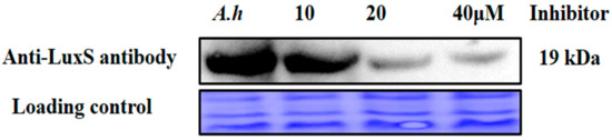 Molecules 23 02627 g008a Molecules 23 02627 g008a