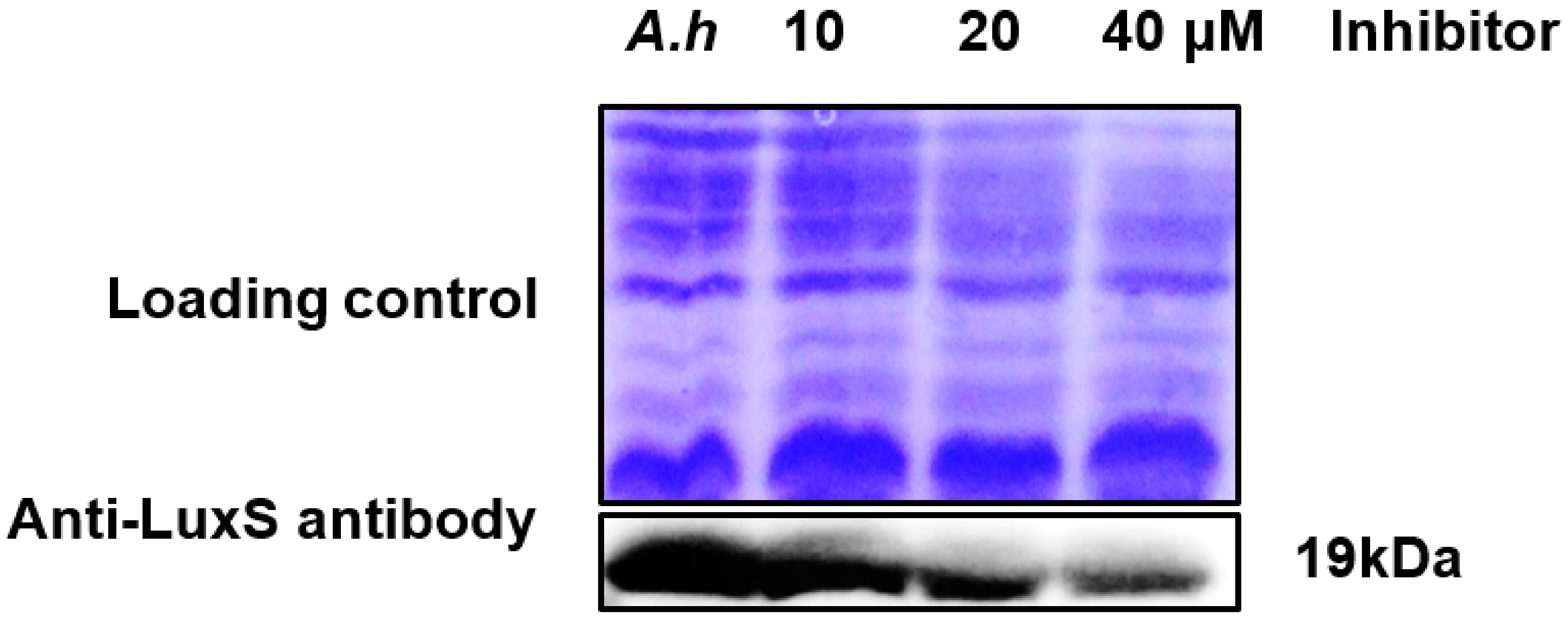 Molecules 23 02627 g008b Molecules 23 02627 g008b