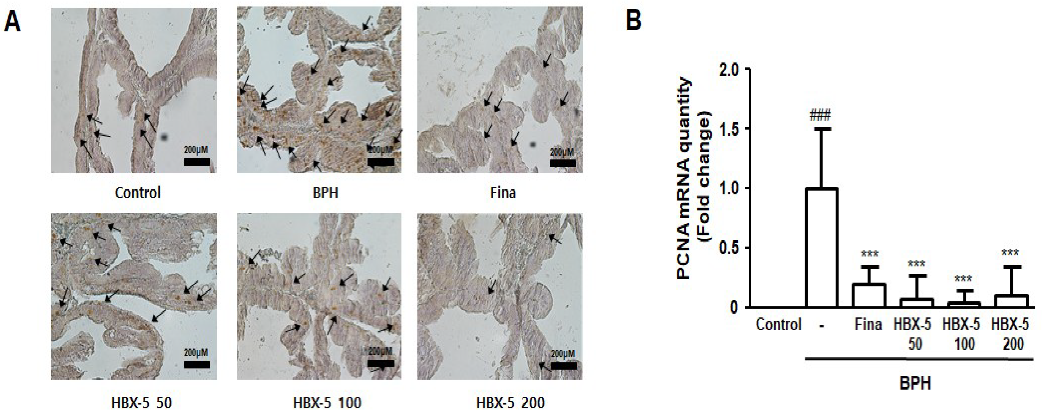 Molecules 23 02638 g006