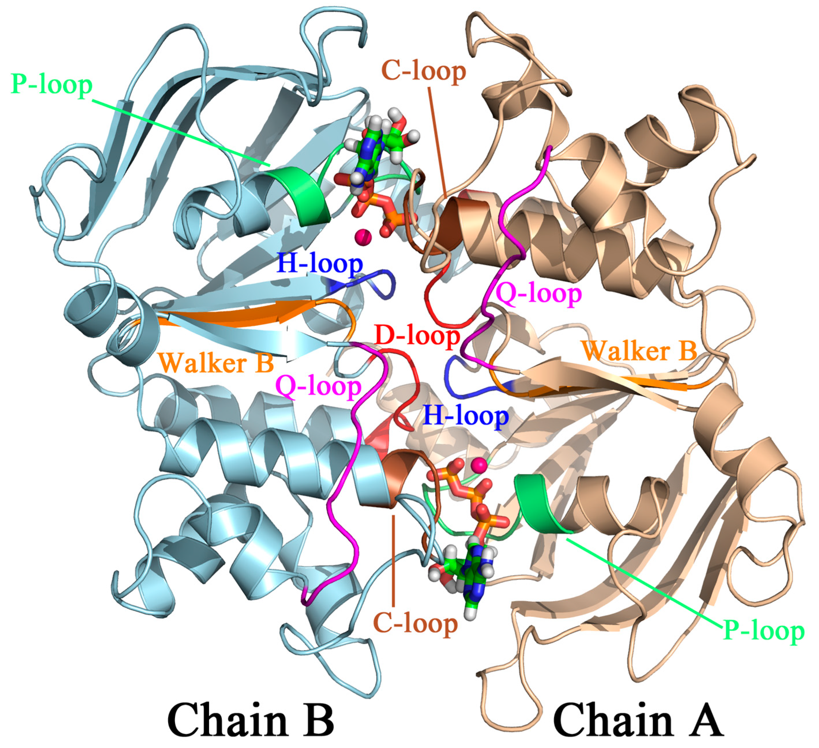 Molecules 23 02652 g001