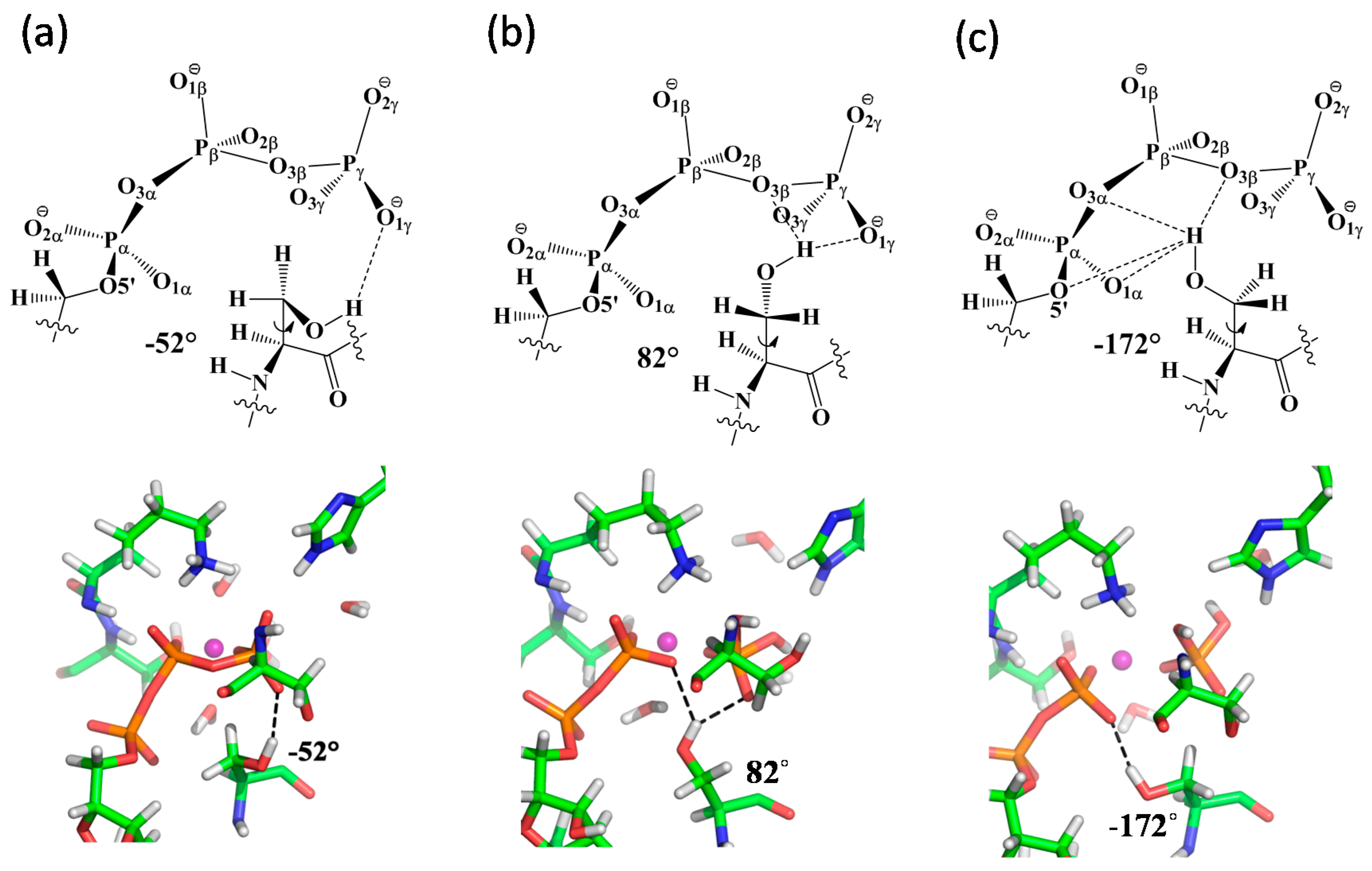 Molecules 23 02652 g006