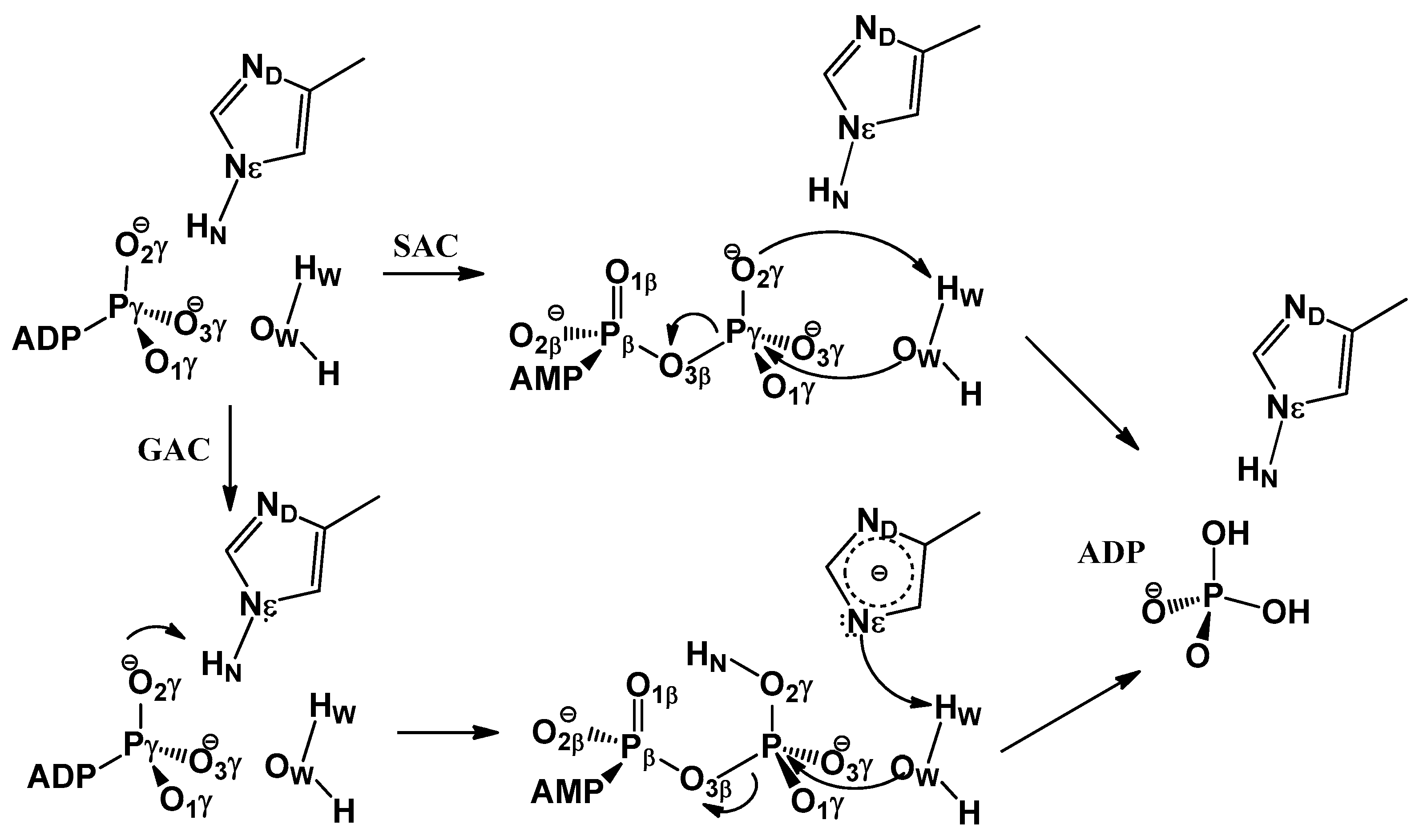 Molecules 23 02652 sch001