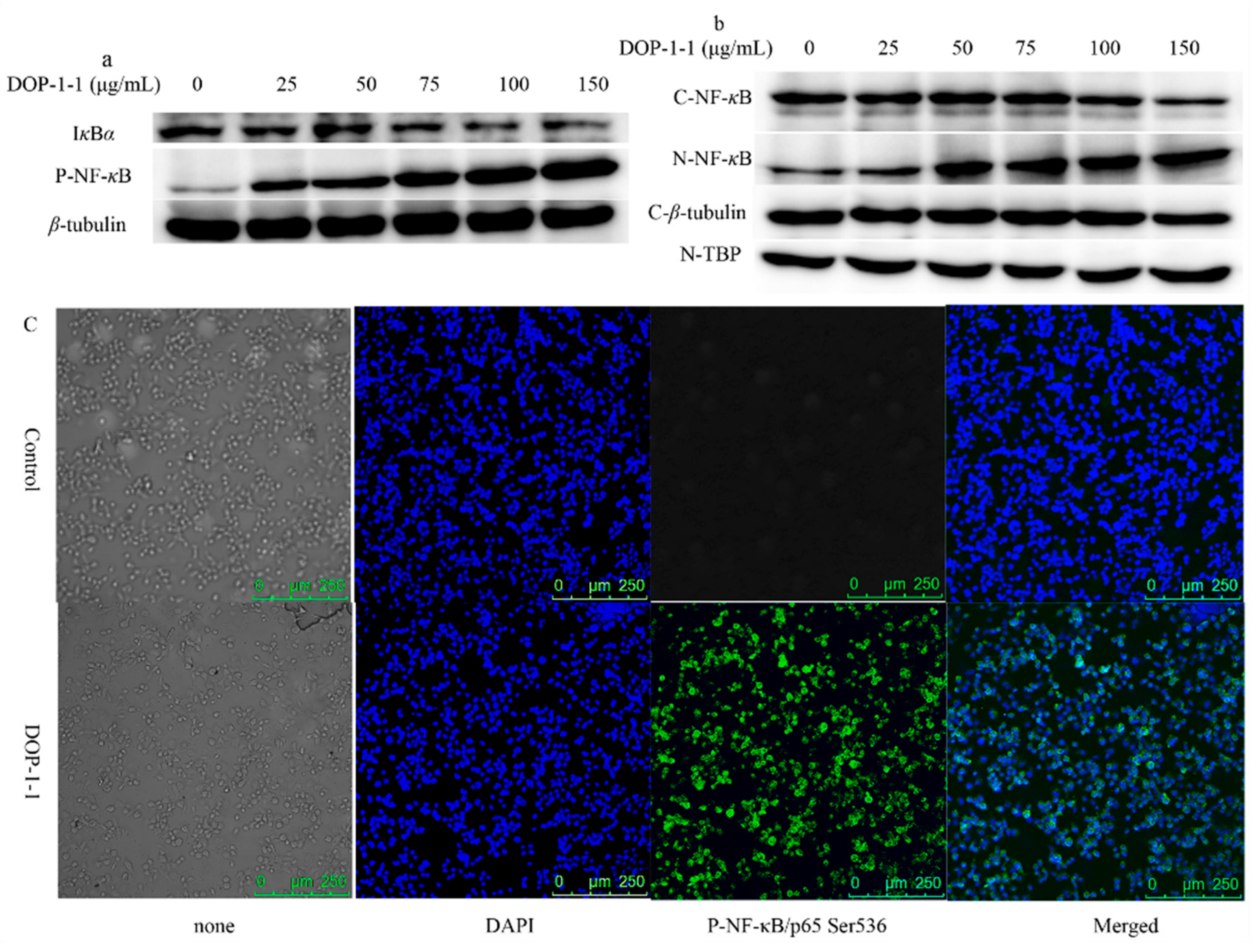 Molecules 23 02658 g004 Molecules 23 02658 g004