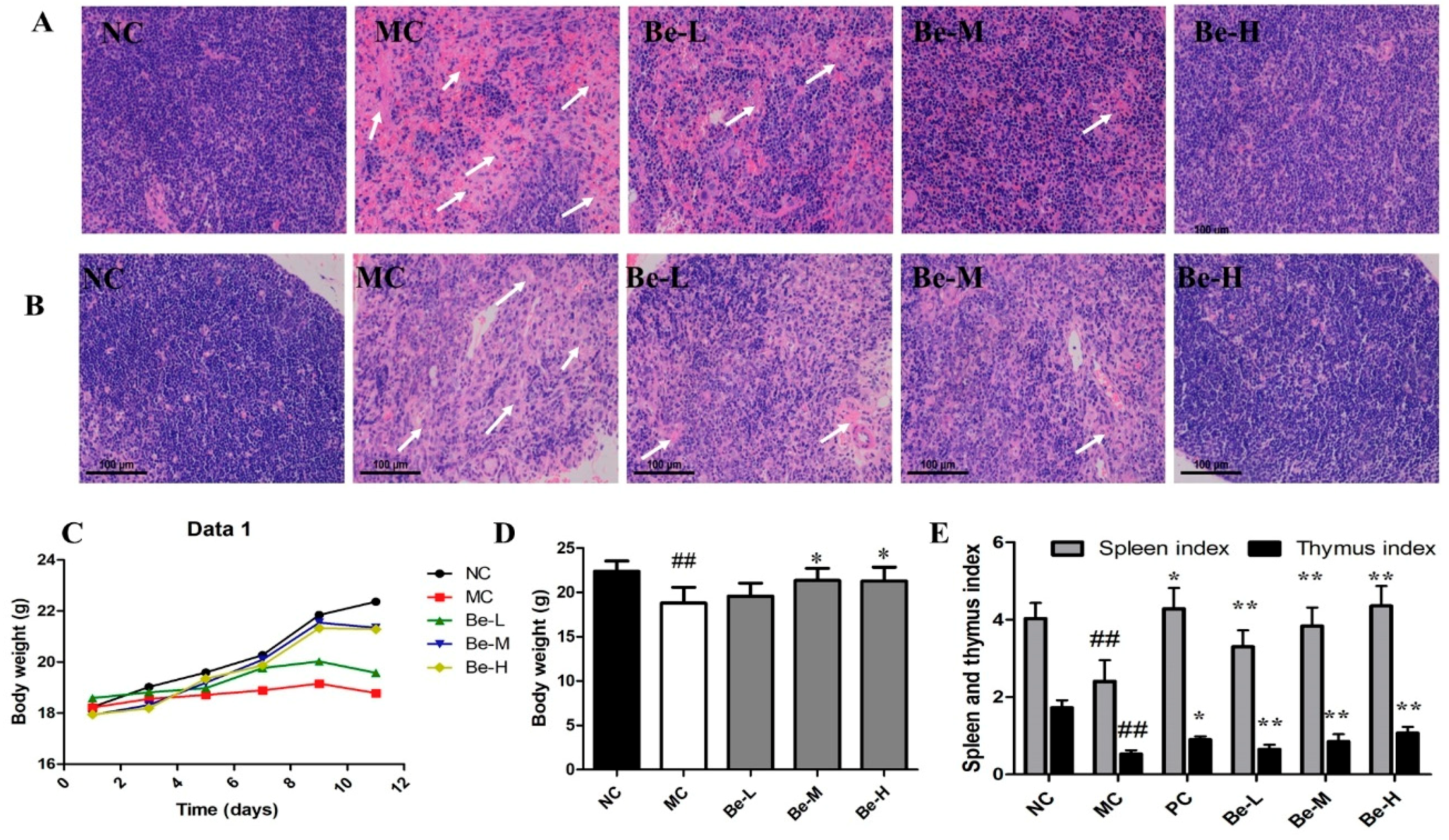 Molecules 23 02668 g001