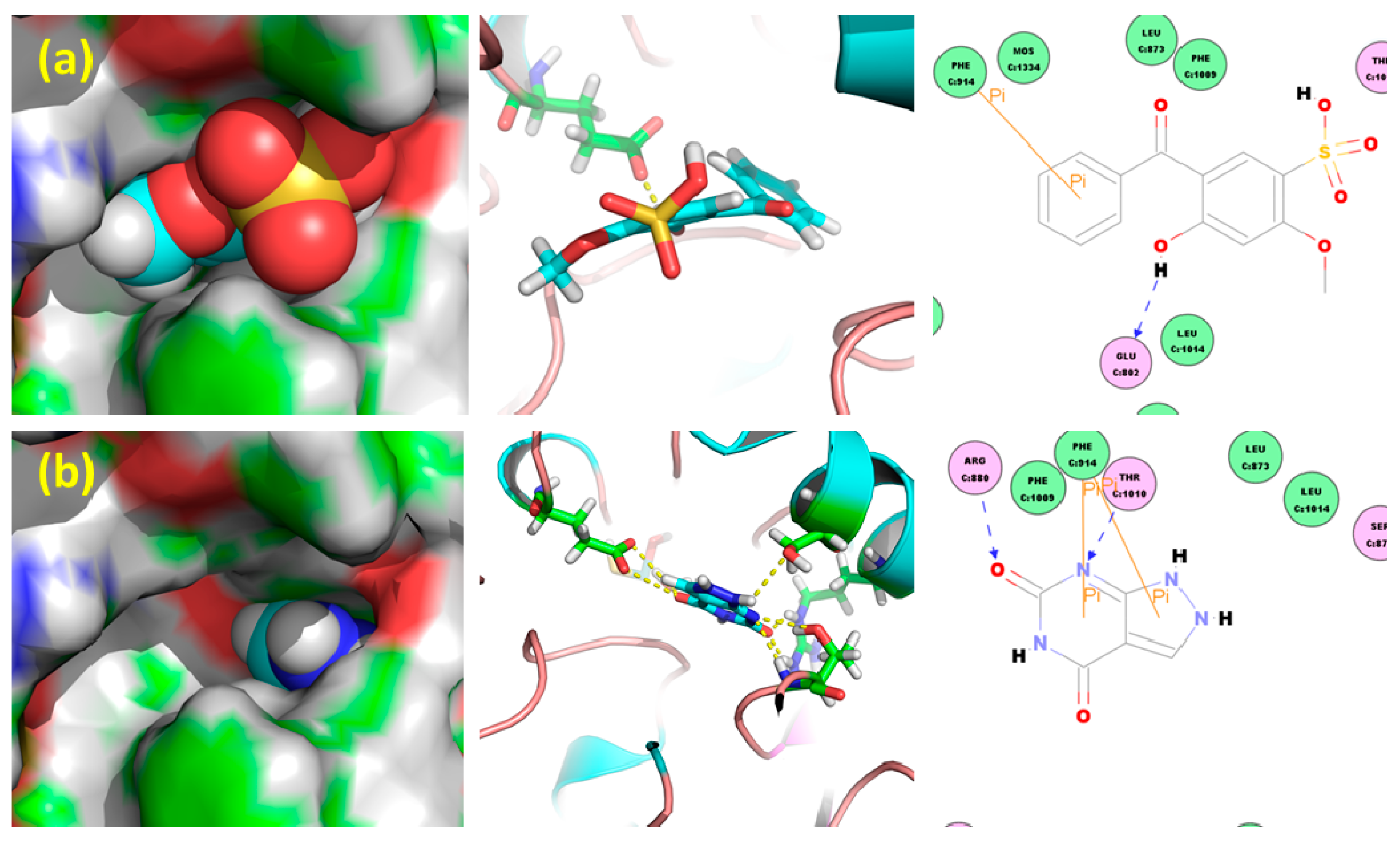 Molecules 23 02671 g002 Molecules 23 02671 g002
