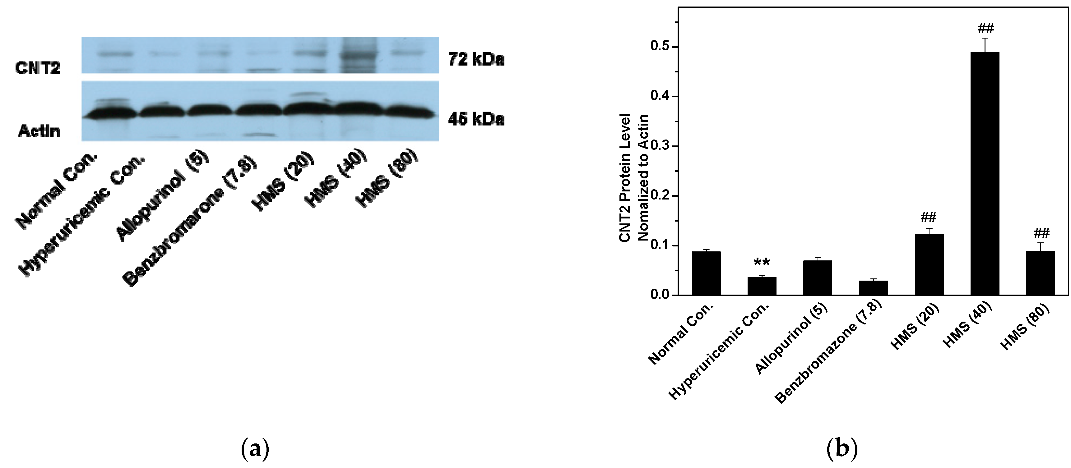 Molecules 23 02671 g009 Molecules 23 02671 g009