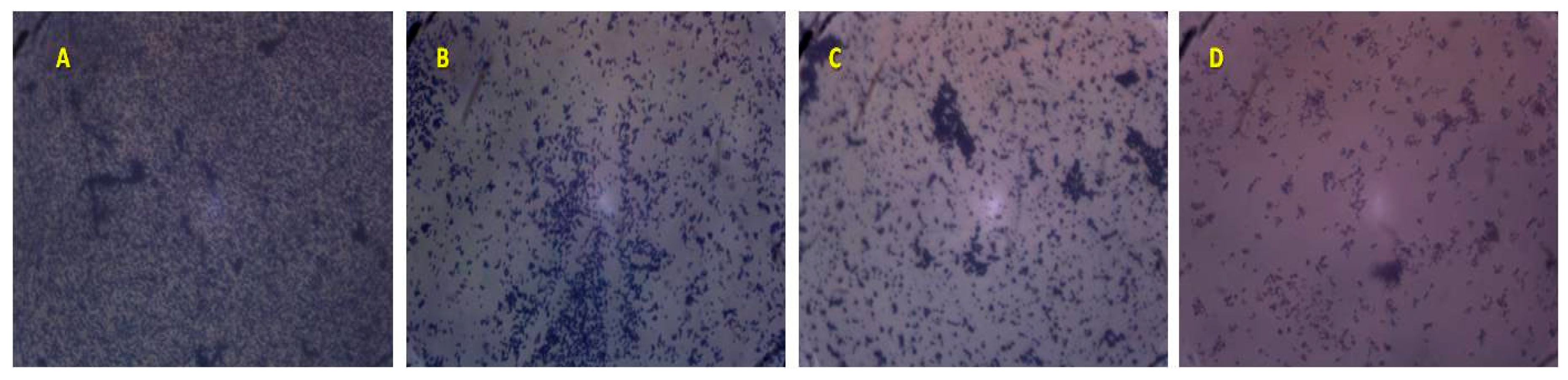 Molecules 23 02672 g003