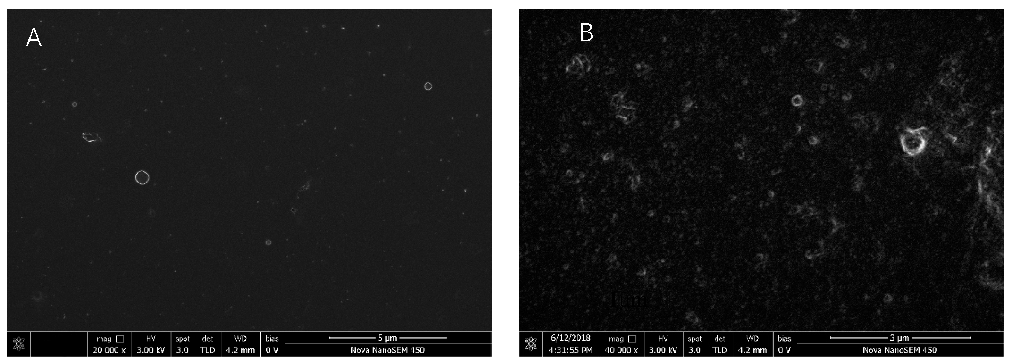 Molecules 23 02678 g008