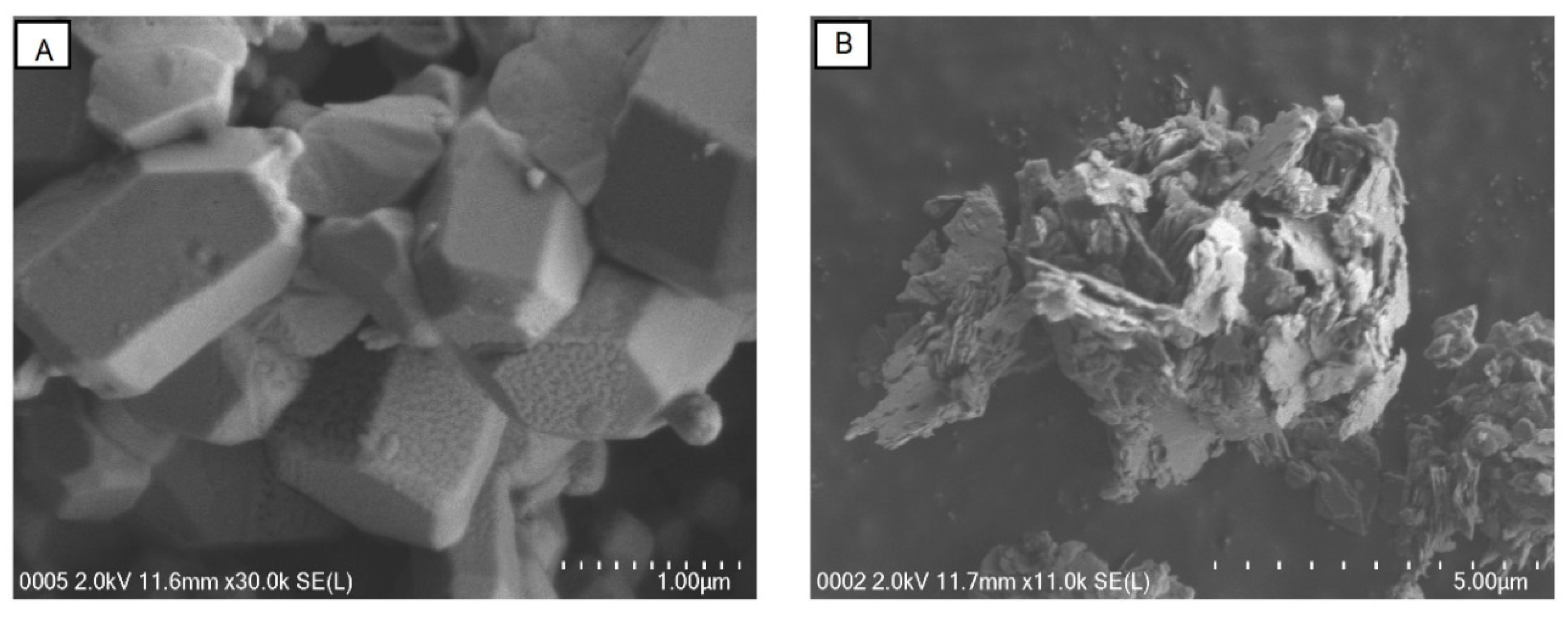 Molecules 23 02689 g009