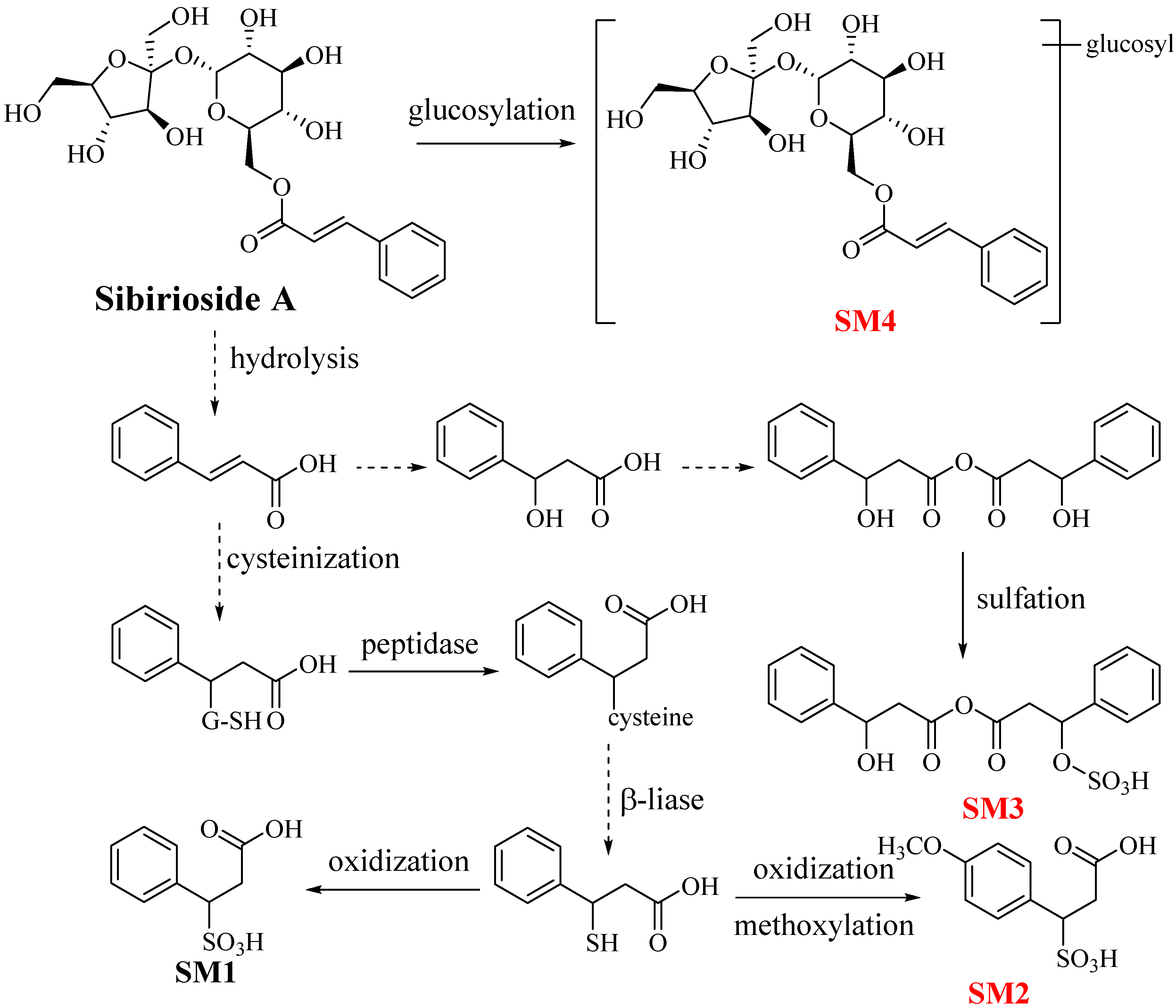 Molecules 23 02702 g003