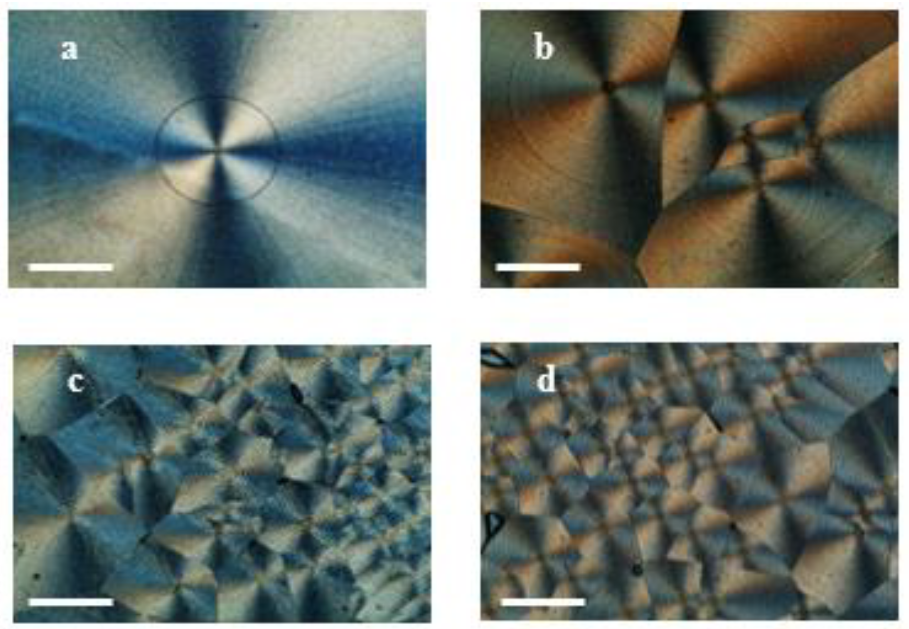 Molecules 23 02703 g001