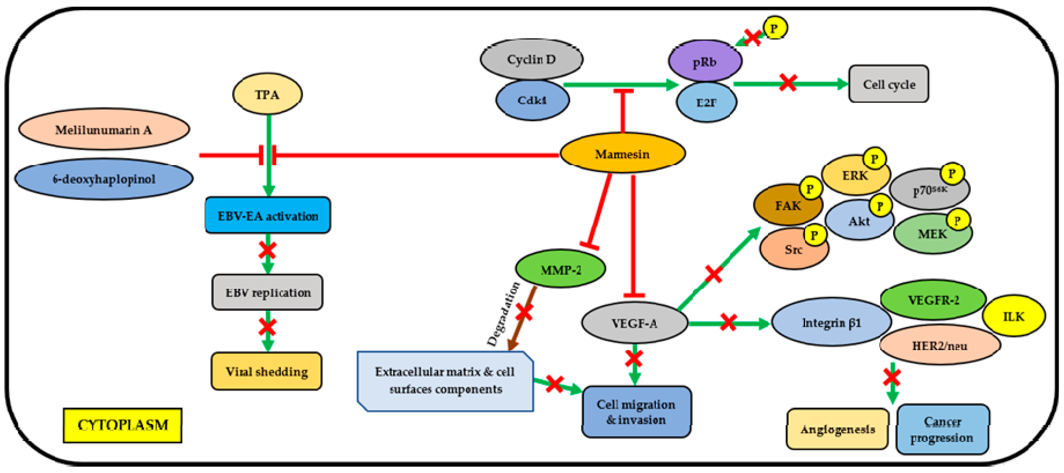 Molecules 23 02708 g001