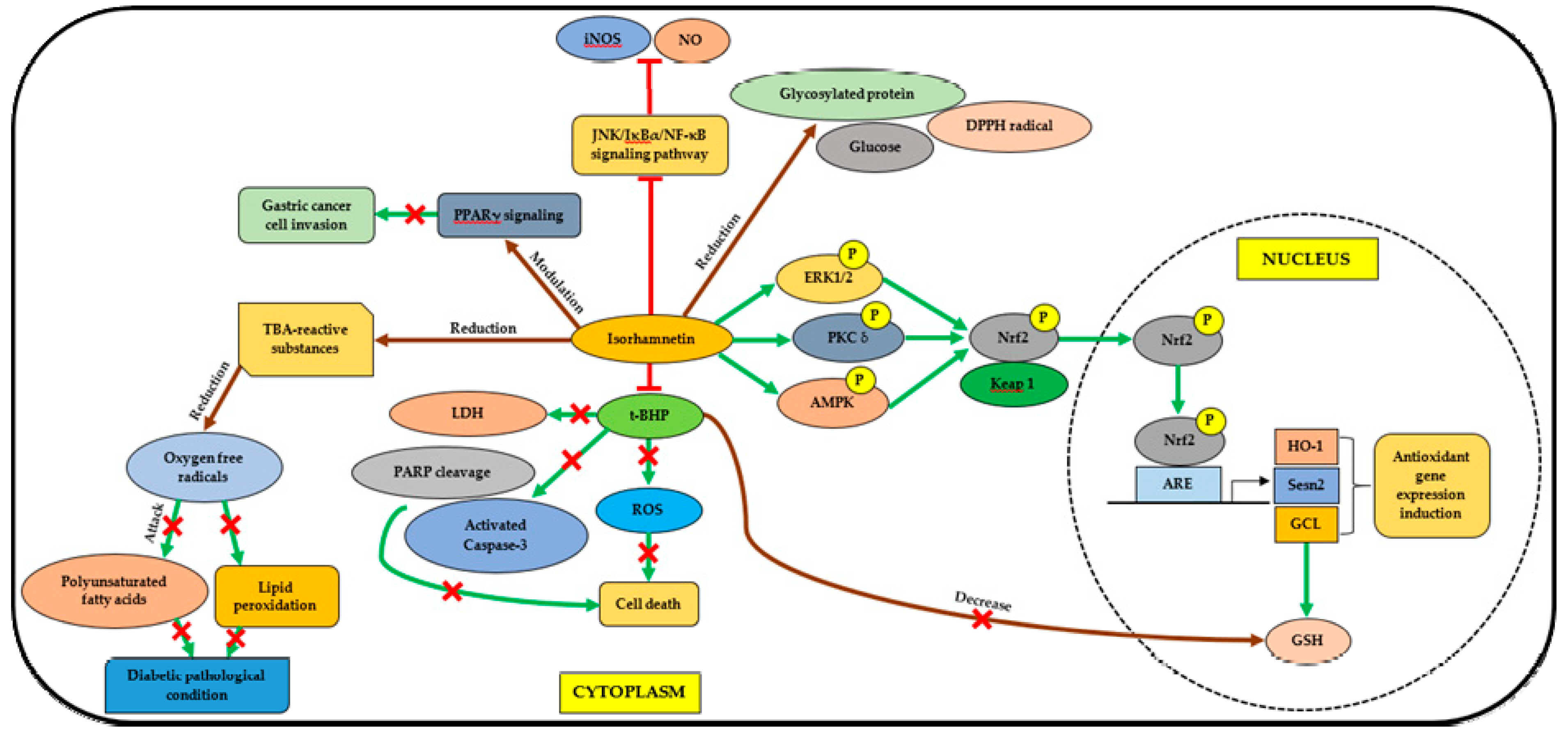 Molecules 23 02708 g002