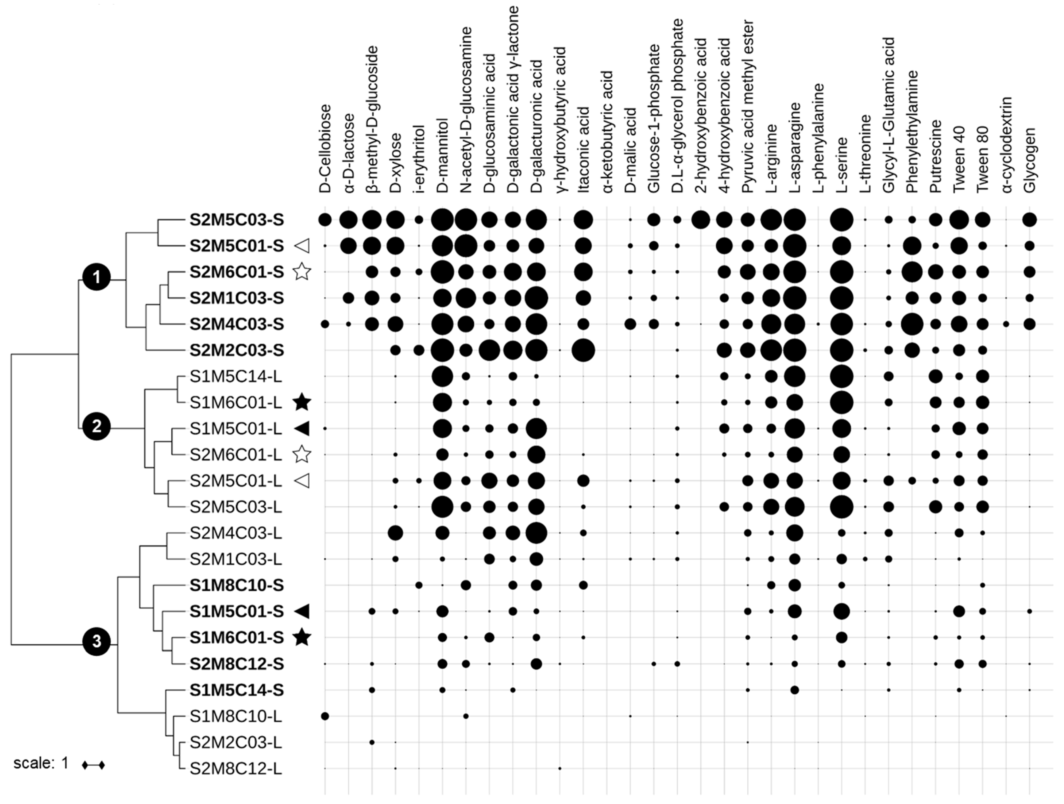 Molecules 23 02746 g002