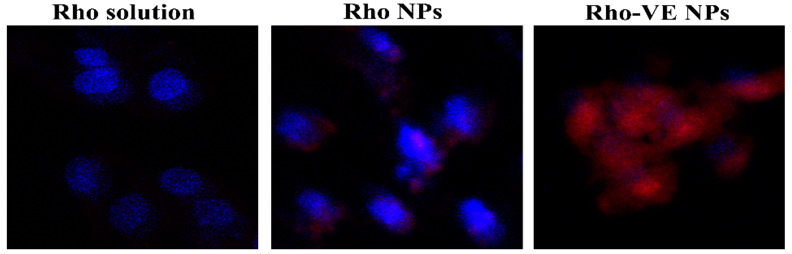 Molecules 23 02760 g005 Molecules 23 02760 g005