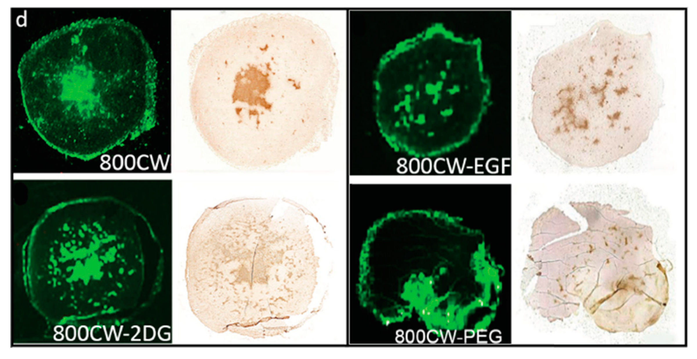 Molecules 23 02766 g009