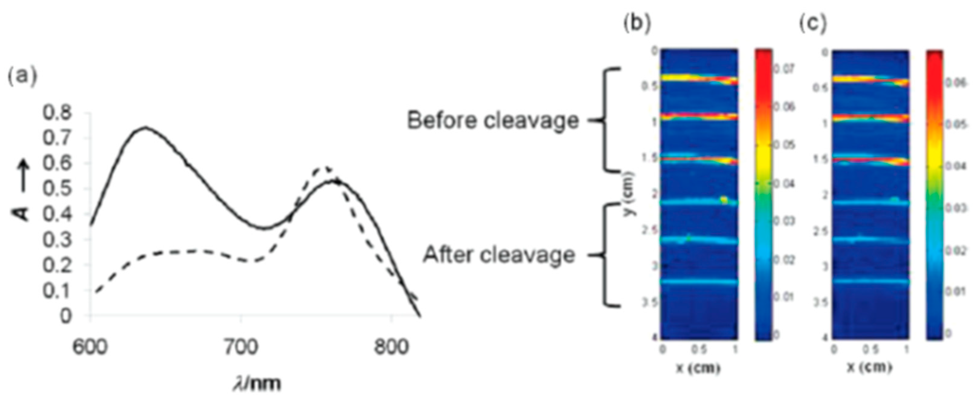 Molecules 23 02766 g013