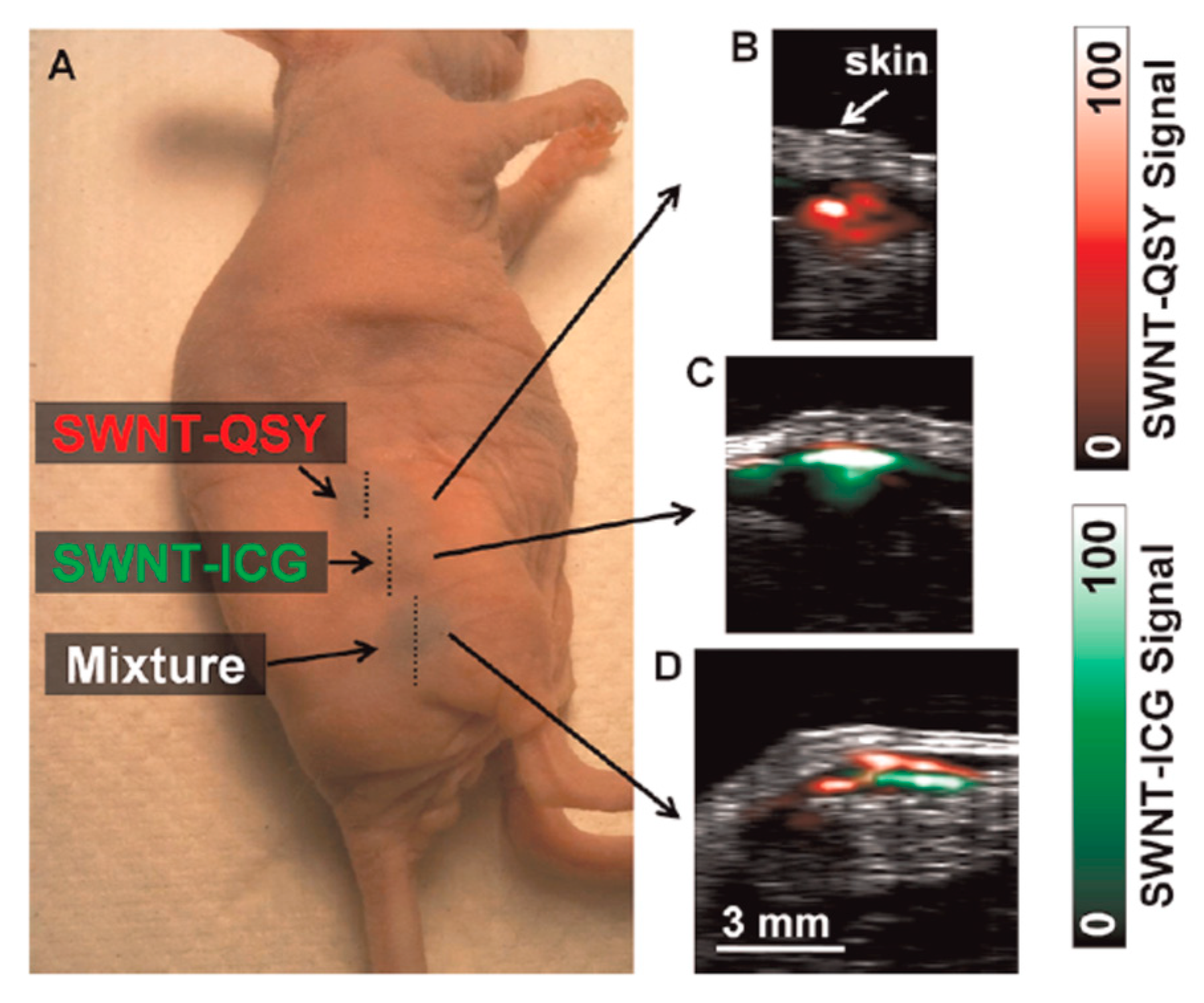 Molecules 23 02766 g015
