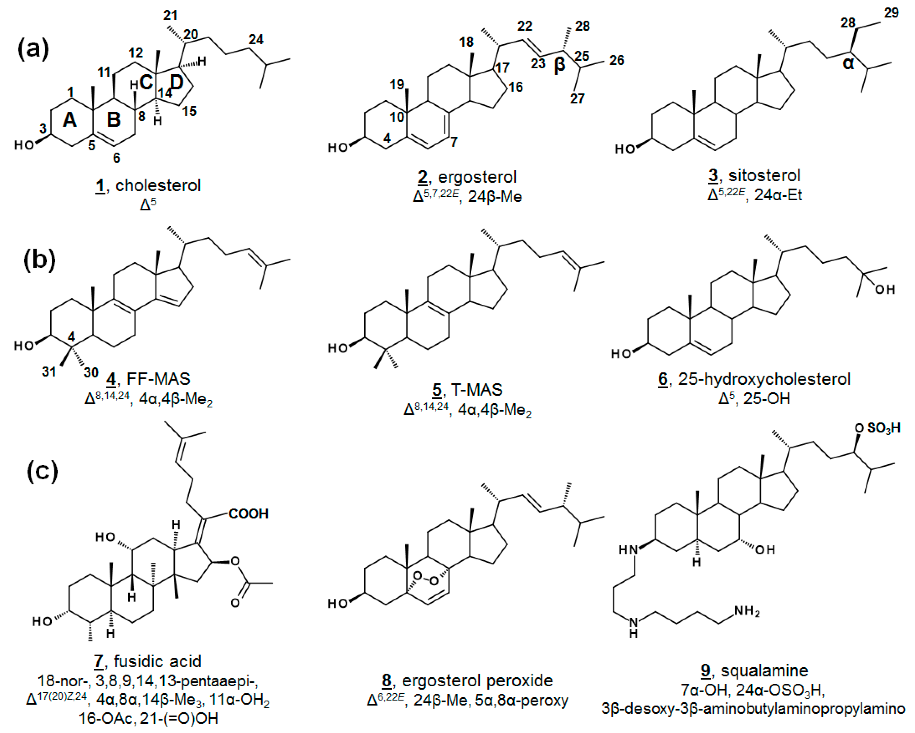 Molecules 23 02768 g001 Molecules 23 02768 g001