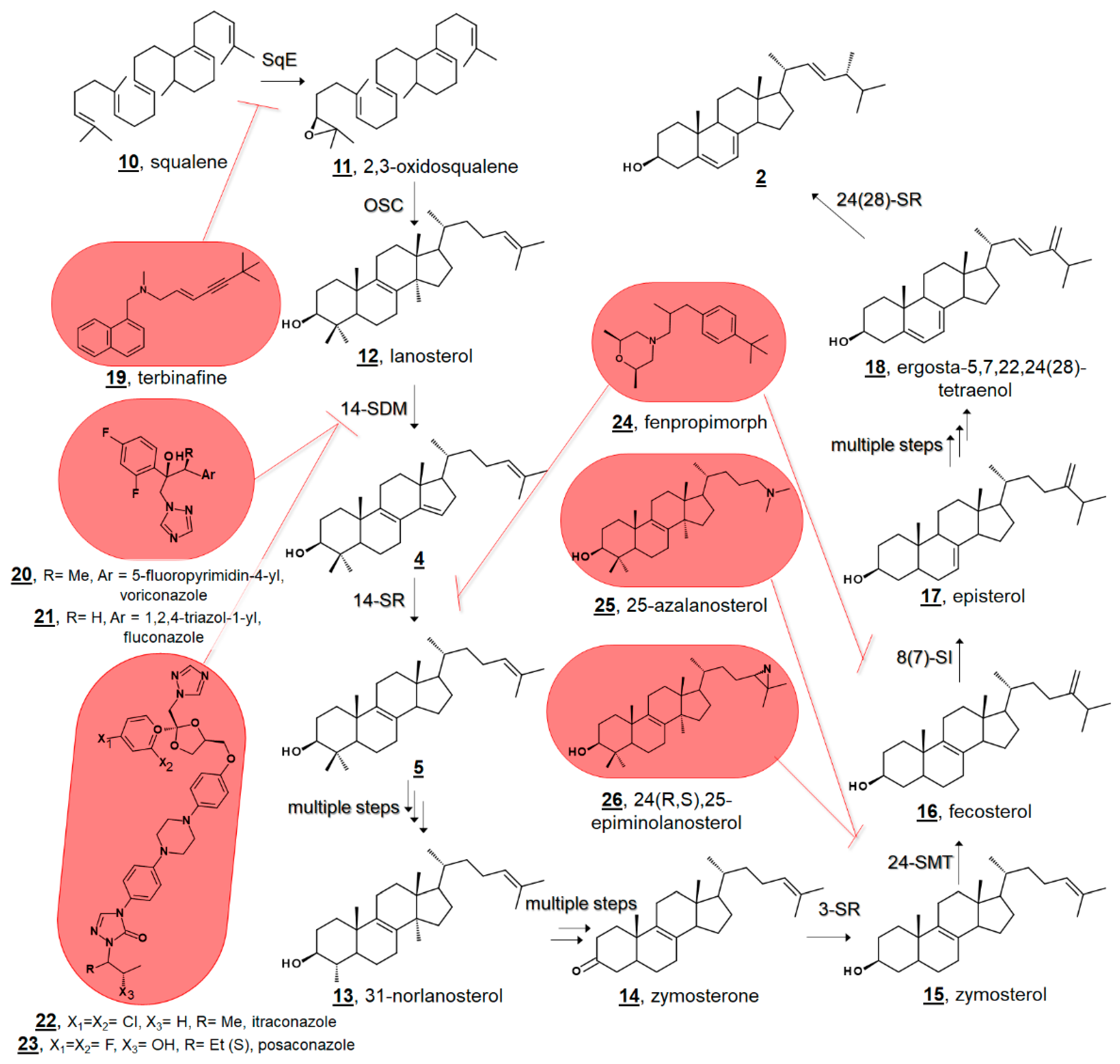 Molecules 23 02768 g002 Molecules 23 02768 g002