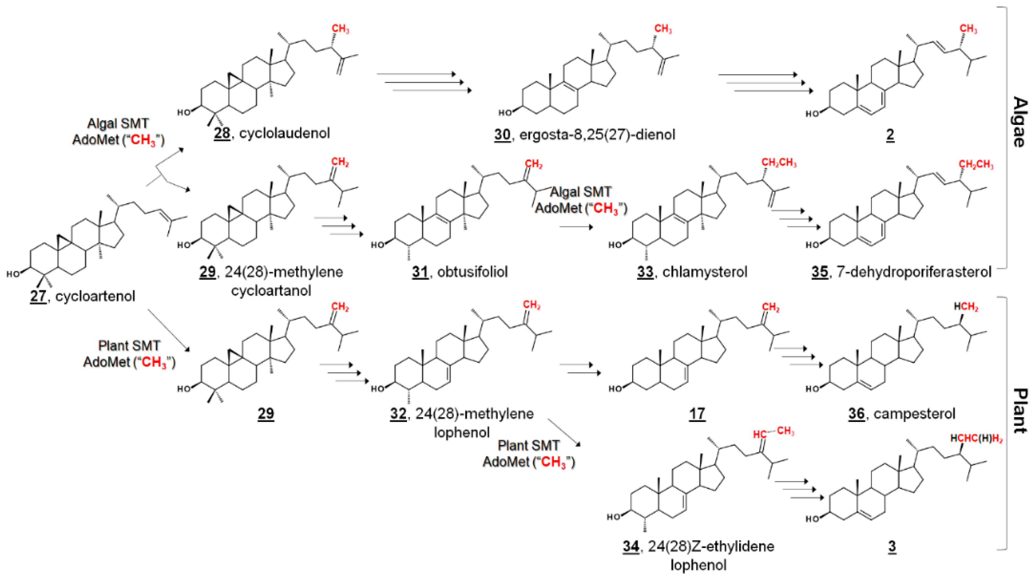 Molecules 23 02768 g003 Molecules 23 02768 g003