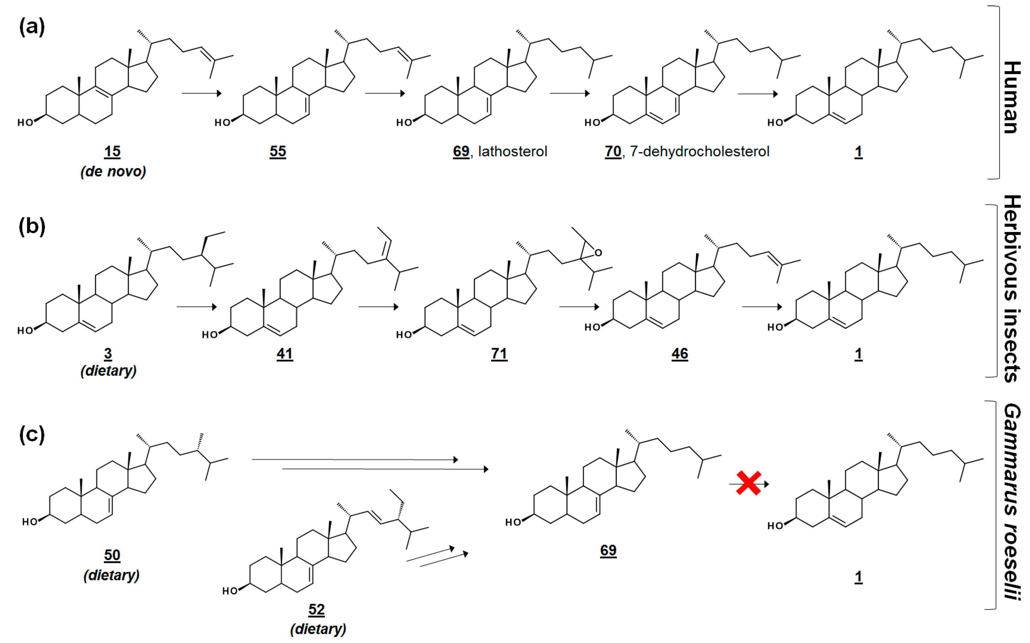 Molecules 23 02768 g005 Molecules 23 02768 g005