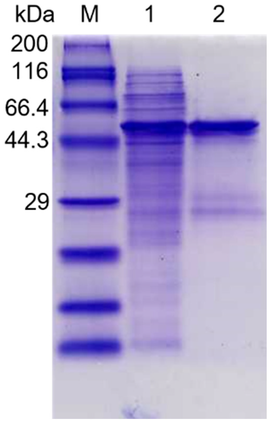 Molecules 23 02774 g003