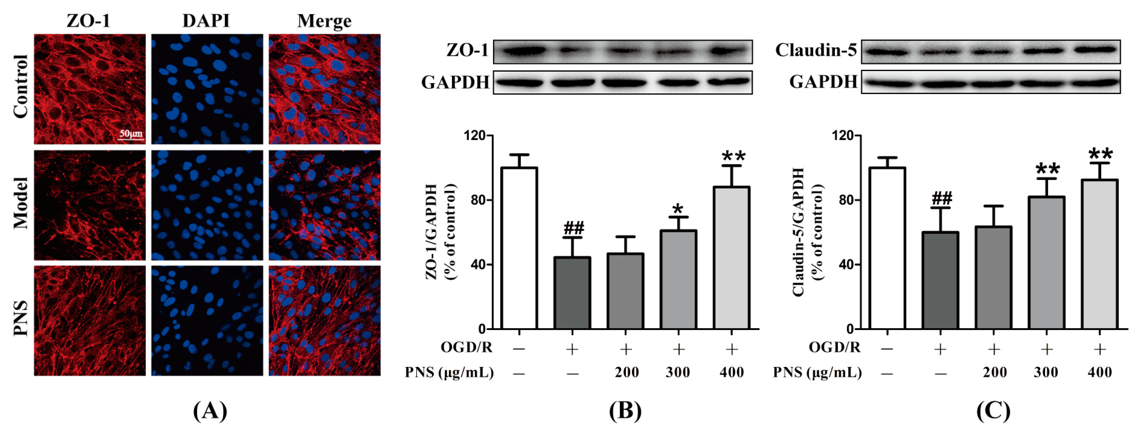 Molecules 23 02781 g004