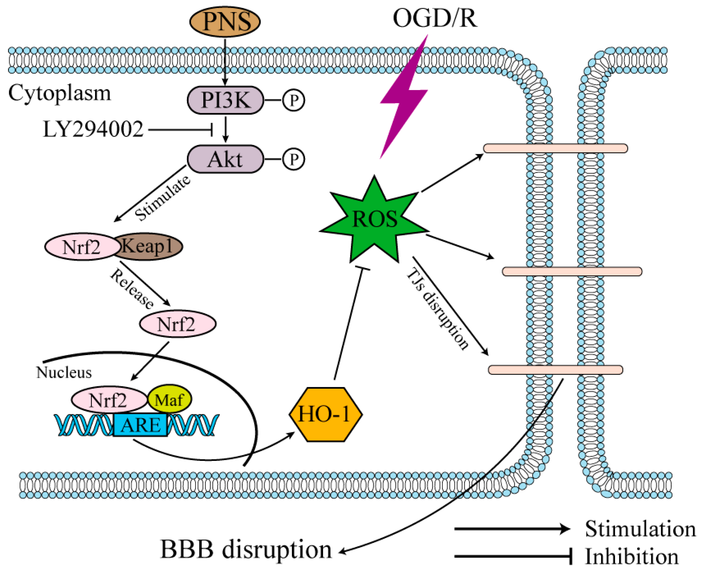 Molecules 23 02781 g009