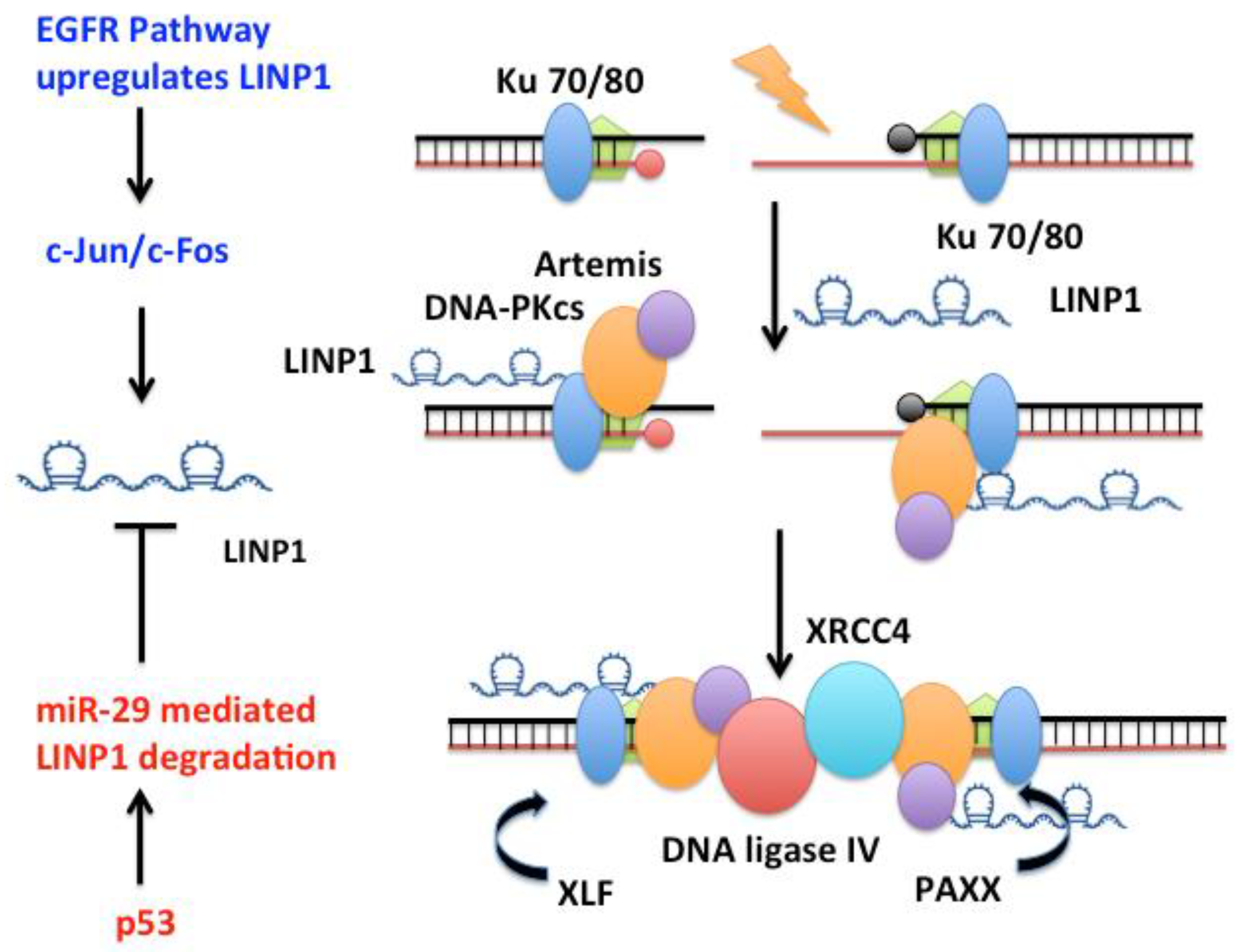 Molecules 23 02789 g002