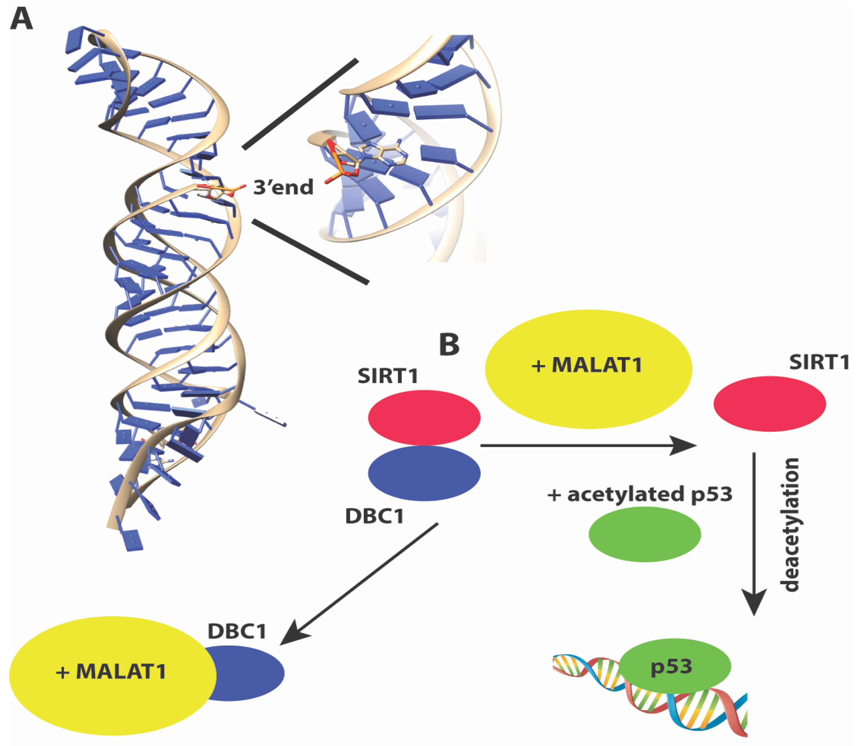 Molecules 23 02789 g003
