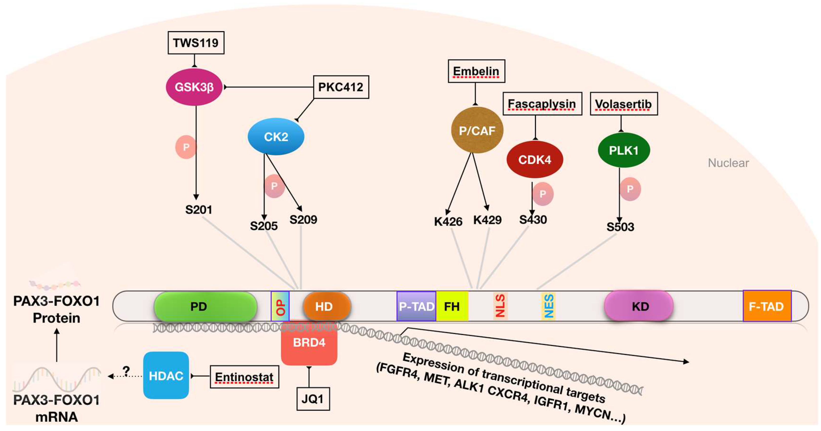 Molecules 23 02798 g002