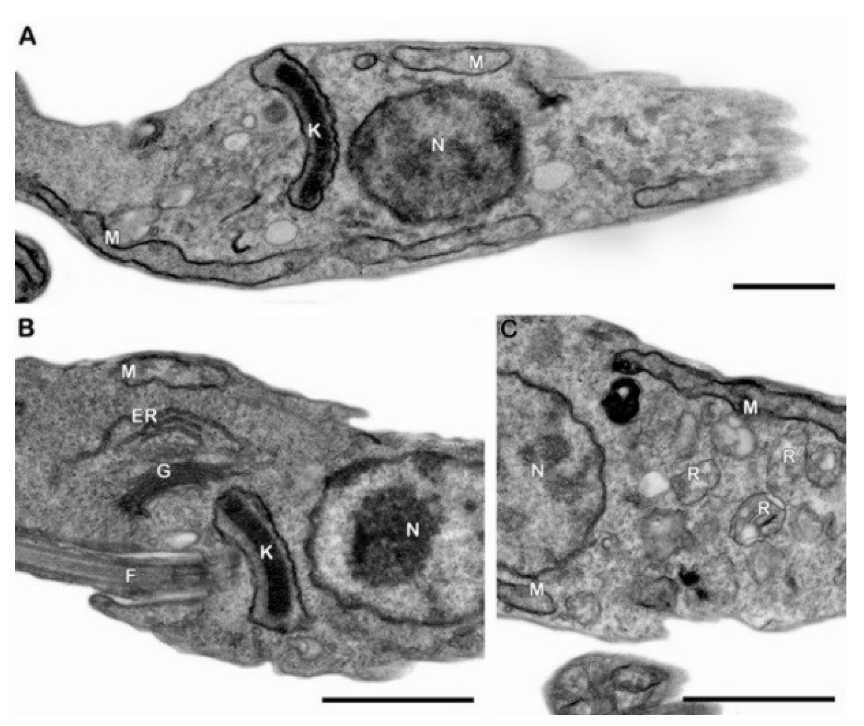 Molecules 23 02800 g002
