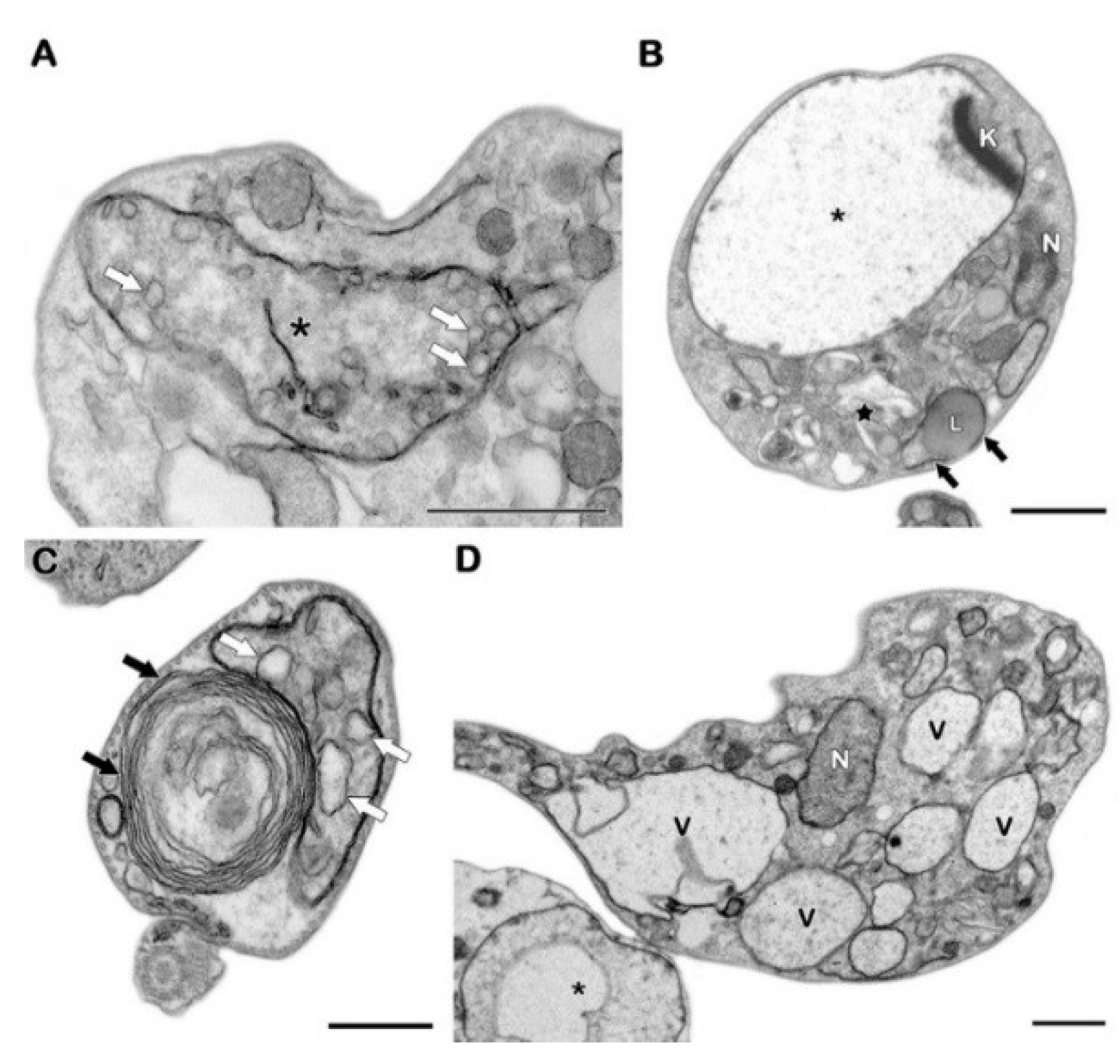 Molecules 23 02800 g003