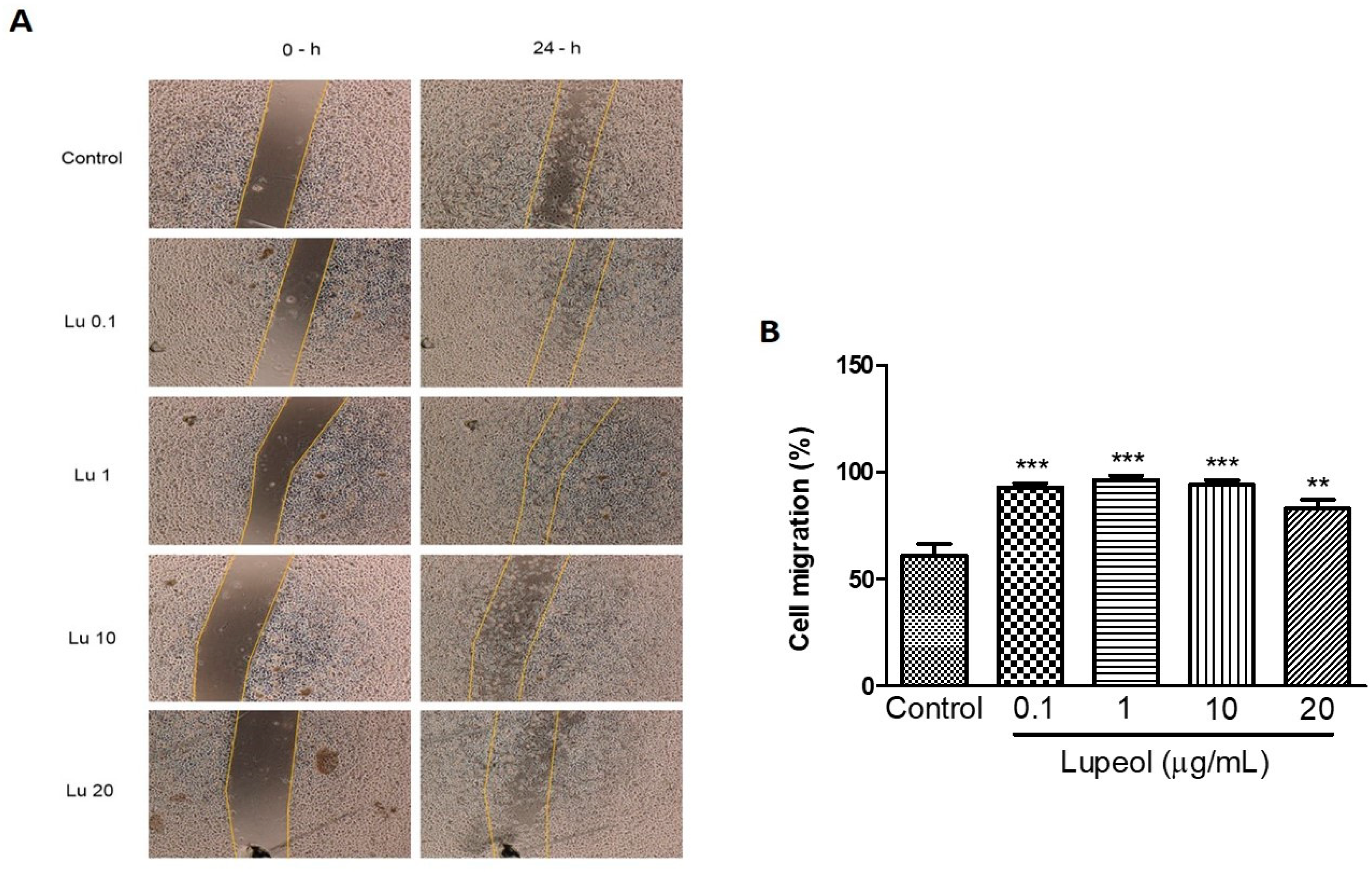 Molecules 23 02819 g004