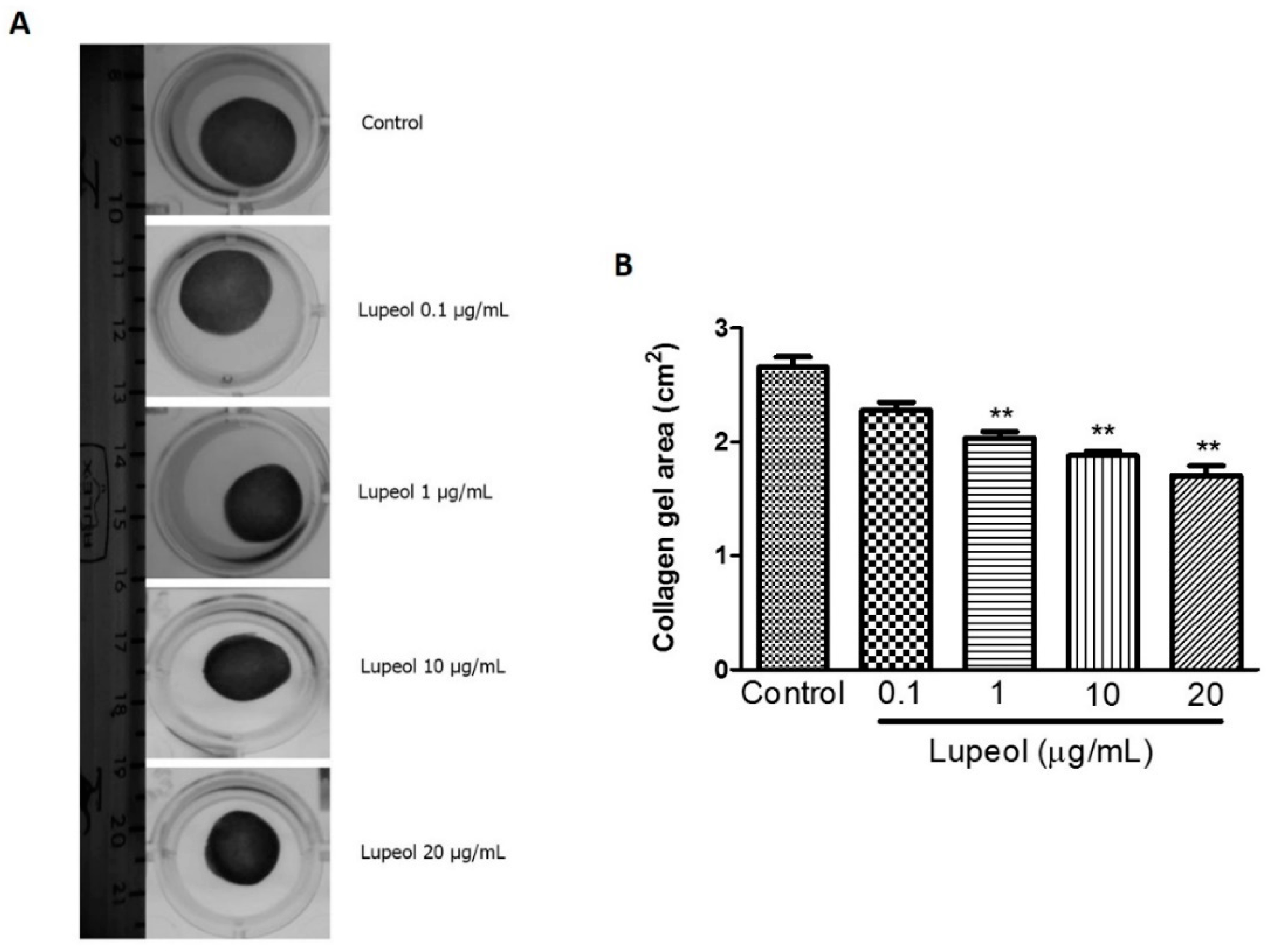Molecules 23 02819 g005
